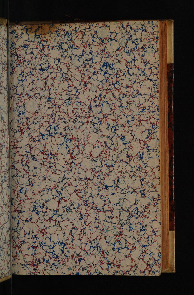 ee AL a Sh SEE tw apt ee oe eS peter ee