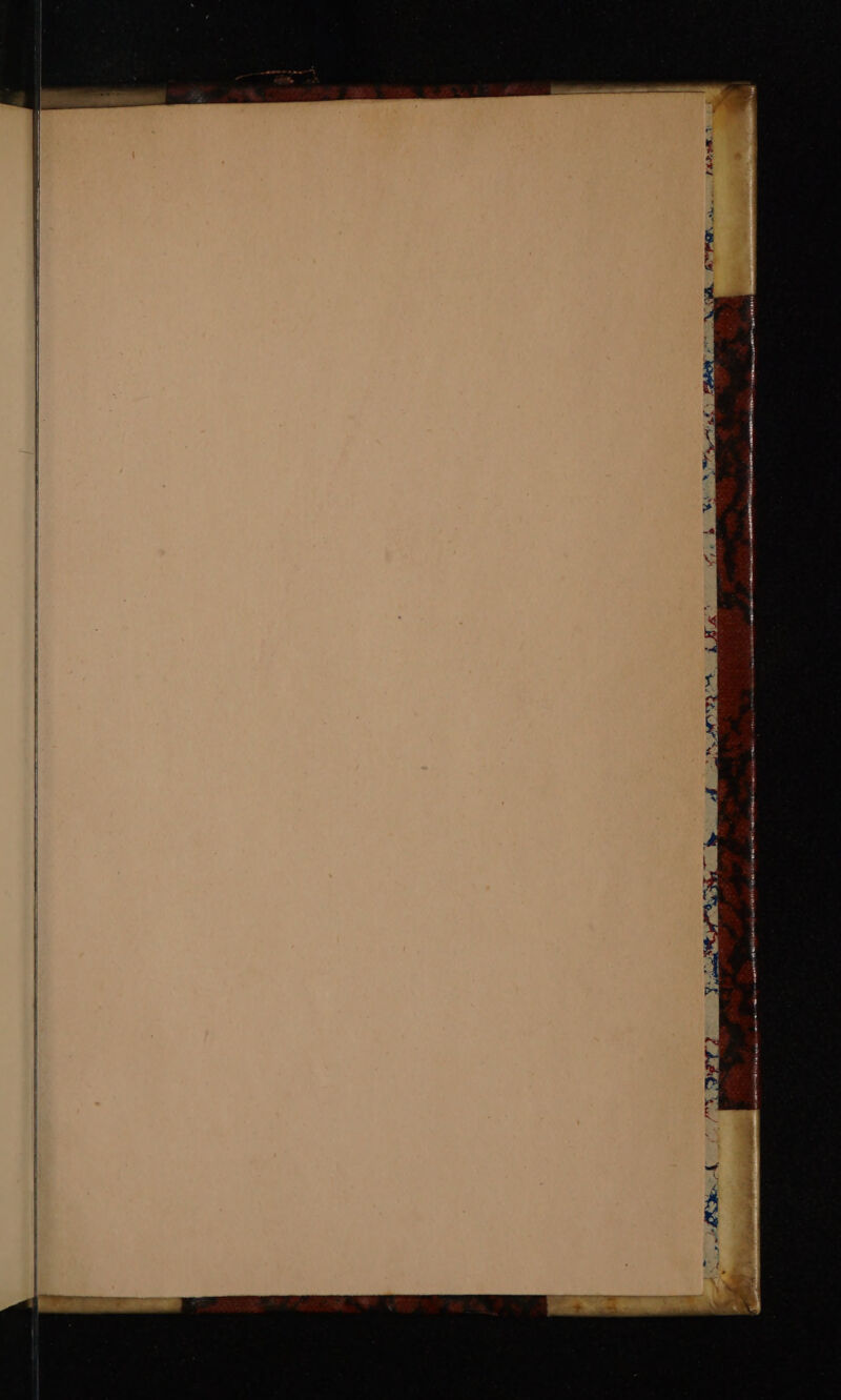 ee ee paciiannesieematie pice rertantineorrememenanac worm aanmniad ictal lalate — —— — stem “nee ep renter man srt jigmaen aA ie Ym ga annem none et vienna re = wm OR EN aera