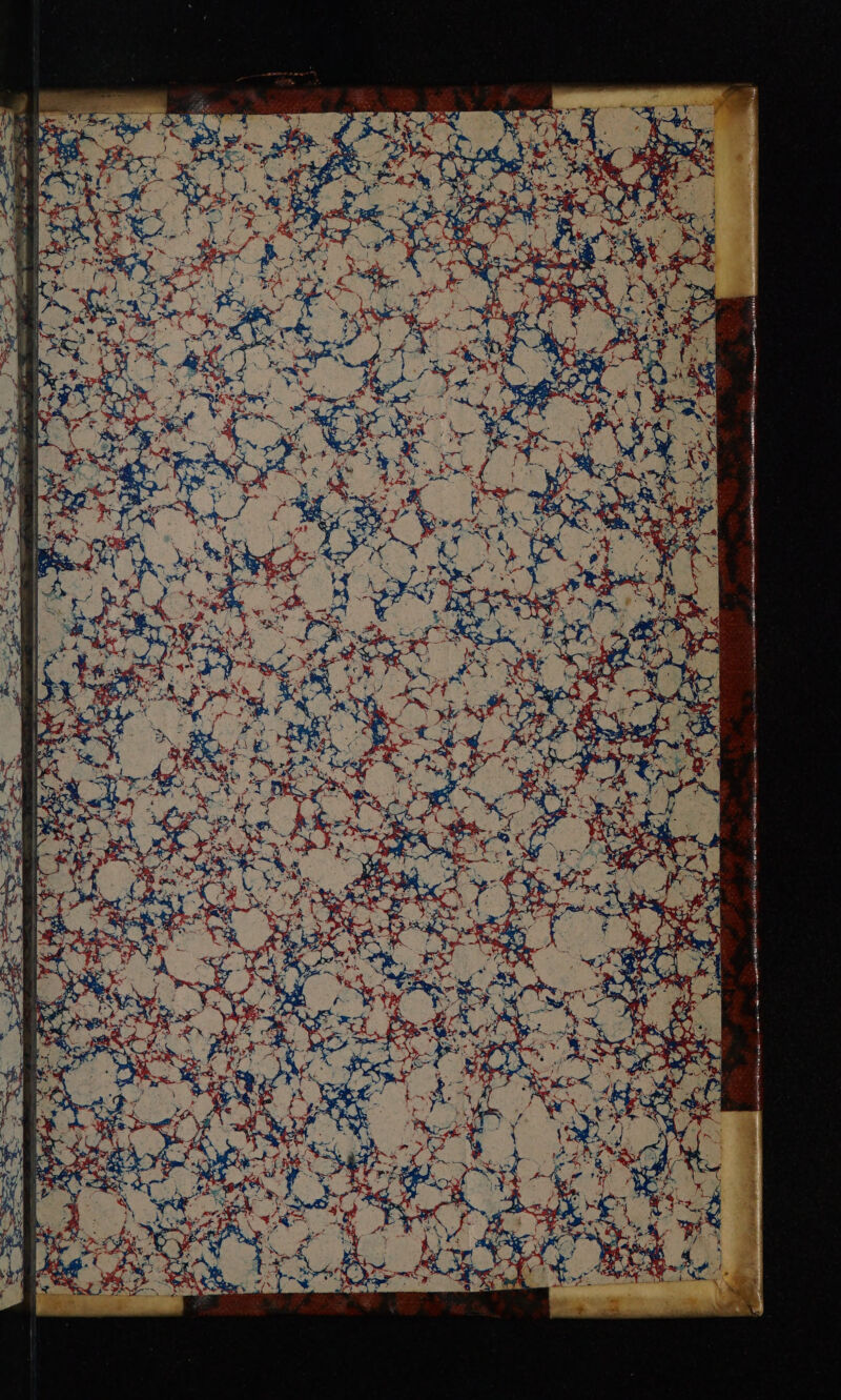 Fe PEE Een mT TRL pe mtn ager SNe en ee aa