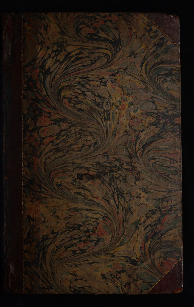 No text description is available for this image