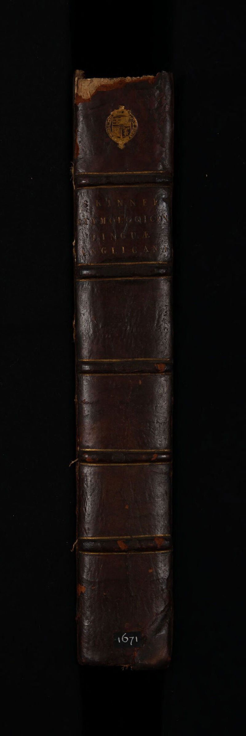 No text description is available for this image