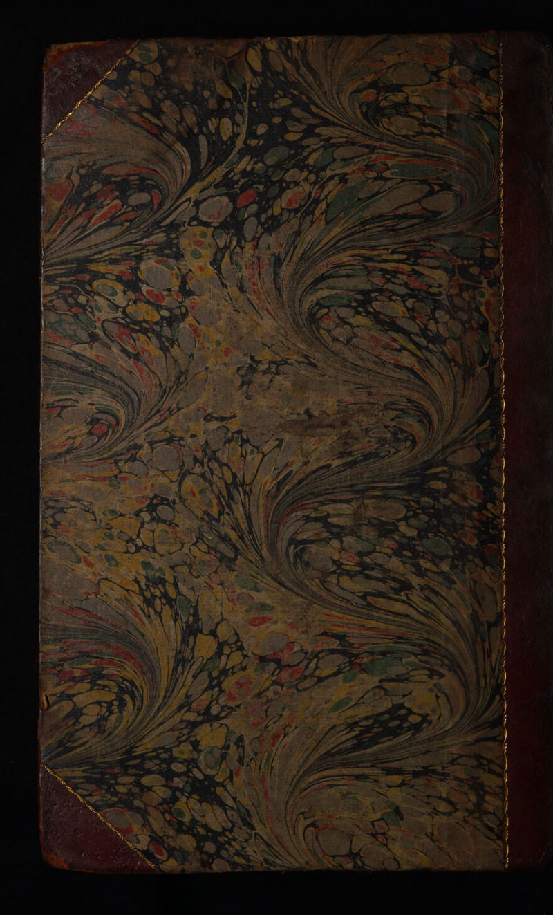 No text description is available for this image