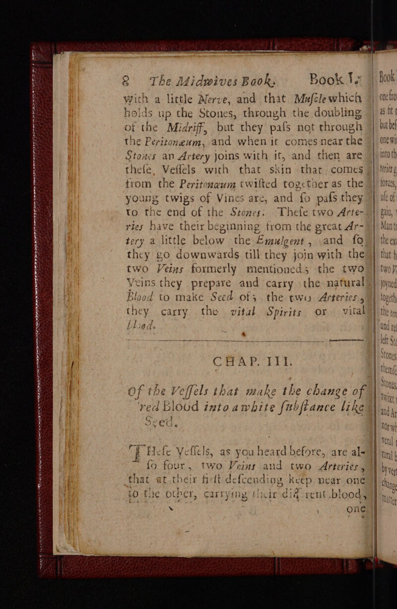 OND y Gres peatecy re SAMI Nan le me EES Hing e4tiin Serre es Sarthe 8 The ALidwives Baok, Book Tax | Sook with a little hes e, and that Mufélewhich | ott holds up the Stones, through the doubling | #it of the Midriff, but they pals not thro ugh | bub the Peritoneum, and when it comes near the 4%} oltwi Stoes an Artery jos with it, and then are | into th thefe, Veffels with that skin that. comes J) Mig trom the Peritozaum twilted togctner as the 4) ints, a y: - iK ~ a ] 4 i if young twigs of Vines are, and fo pafs they} iled to the end of the Stones; Thele two Arte- 2) gan, ries have their beginning trom the great Ar- 1 Mant tery a little below the Emulgent , and {0)) the ey they go downwards till they join with the } tnt} AR Veins many mentioned; the two | two/, ‘ ee to make Ue eal of; the two Arterics i toveth they carry the vital Spirits or vital) they, | blied. 2nd ry Beet 2 te 2 ds pm left Ctra an CHAP. III. | iy - | Gon Of the Ve effels that make the change of | tin e } ; y Al red Bloud into awhite fubfiance like i xd Seed, Nor ah Es rr I | vera p Hele Veflels, as you heard before, are al= Wty), ~ 40 four, two Vems and two Arteries , | by vet that at.their ielt defcending keep near one hin j ‘ ' P rs. E | i 1} iO the other, carrymg tir diq-rent blood ji ite one