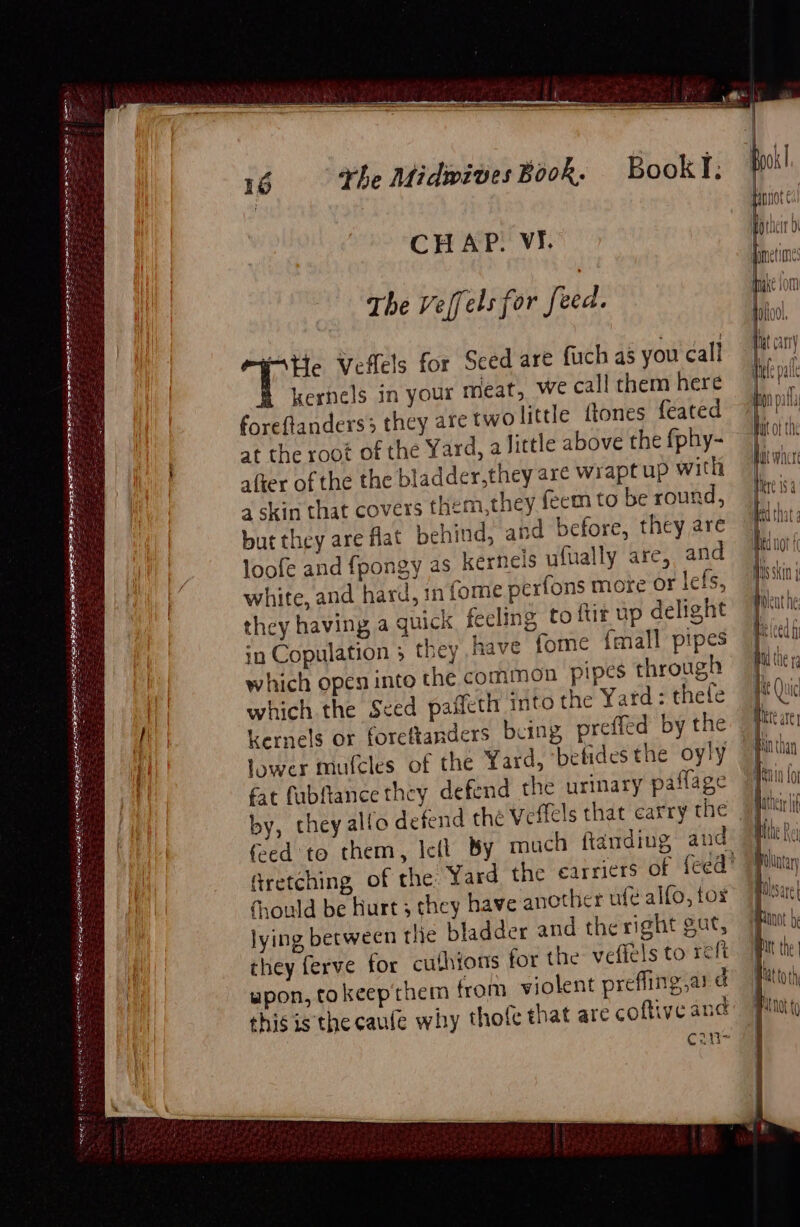 tS ene 235 . Bere AE ee tag TLE FTA IIOE) MOE te eS eKy HS ee See eg Ferree 16 he Midwives Book. BookI. CHAP. VI. The Veffels for feed. Atte Veflels for Sced are fuch as you call kernels in your Meat, we call them here foreftanderss they are twolittle ftones feated at the root of the Yard, a little above the fphy- after of the the bladder,they are wrapt up with a skin that covers them,they feem to be round, but they are flat beh loofe and fpongy as kernels ufually are, and they having a quick feeling to in Copulation 3 they which open into the common pipes through which the Seed paffeth into the Yard: thefe kernels or foreftanders fpok AnNot¢ pmetiones make {om dood, Hat any fe pal oon pal it ofthe 4 ] muh WAAC ee iSkin | Poleat he Me (eed fi ANd the 1 Hit Qui . pnchan Matteye lf they ferve for cuthions fo Holunt N esate