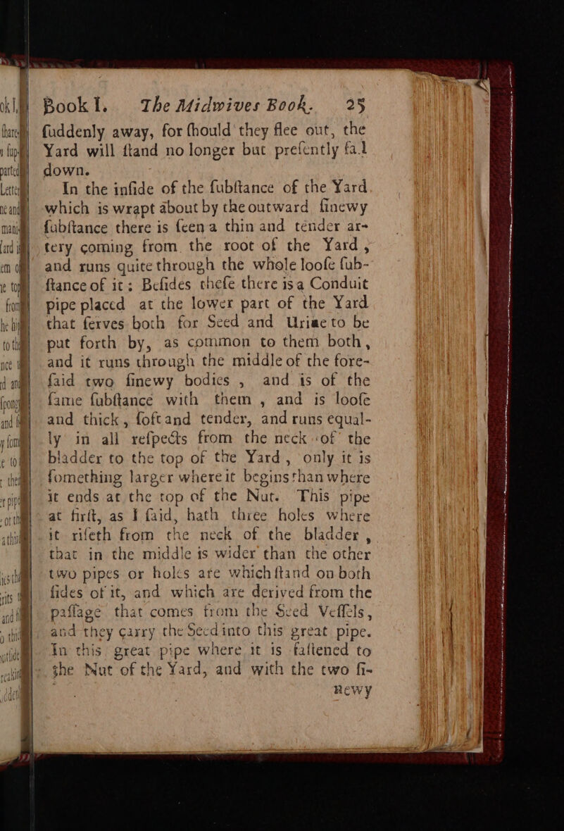 = “OR te - — 7 => aa a reaniln Book!l. The Midwives Book. 25 fuddenly away, for fhould they flee out, the Yard will fland no longer but prefently fal down. In the infide of the fubftance of the Yard which is wrapt about by the outward fincwy fubftance there is {een a thin and tender ar- tery coming from. the root of the Yard, and runs quite through the whole loofe fub- ftance of it: Befides thefe there isa Conduit pipe placed at the lower part of the Yard that ferves both for Seed and Uriaeto be put forth by, as common to them both, and it runs through the middle of the fore- faid two finewy bodies , and is of the fame fubftance with them , and is loofe and thick, foftand tender, and runs equal- ly in all refpects from the neck -of the bladder to the top of the Yard, only it is fomething larger whereit beginsthan where it ends at the top of the Nut. This pipe at firft, as ¥ faid, hath three holes where it rifeth from che neck of the bladder , that in the middle is wider than the other two pipes or holes are which ftand on both fides of it, and which are derived from the paflage that comes trom the Sed Veffels, and they carry che Secdinto this great pipe. Jn this great pipe where it is faflened to the Nut of the Yard, and with the two fi- Hewy Kant a hak ist wisp Lait tes , Se a in i trees Sree i SOT ent ae Mp0 naan ale seme ted va cad elt SALON Scans ANNs call outa oda Ms ,