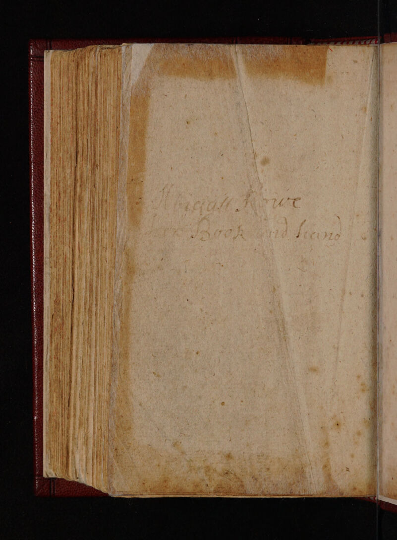 No text description is available for this image