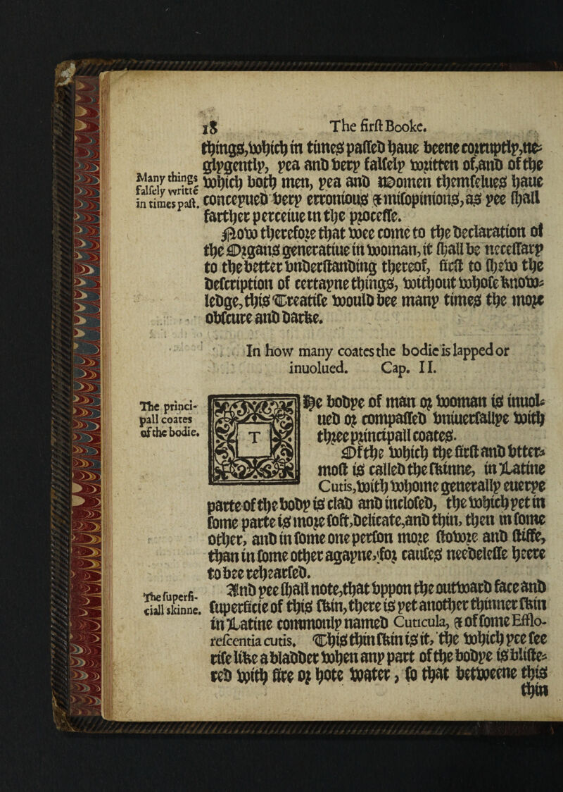 iS The firftBookc. things,bohtch tn times paffeb haue beene eomtptIy,ttfc glygently, yea anbbety falfely txmtten of,anb of the Many Ames ^tch both men, yea anb i©omen themCelues haue in tim« paii. conceytiebbery errontous fmiCopinioiiS,aS yee fhatt farther petceiuetn the pjoccffe. therefore that baee come to the Declaration of the engans generatiue in booman, it (hail be neceffary to the better bnberftanbing thereof, fidl to fljebo the befeription of certayne things, botthout bohofe hnoto lebge,thiS'Creatifc booulb bee many times the mojc obfeure anb barfee. In how many coates the bodie is lapped or inuolued. Cap. 11. Hie princi¬ pal! coates of the bodie. ^e bobye of man o? booman is inuol* ueb o? compaffeb bniuetfallye toith thteepmtcipaU coatcS- SDfthe bohtch thefirftanbbttets mod is calleb the Cbtnne, in jdattne Cutis, toiehiBhome generally euerye parteofthebobyisclab anbtnclofeb, the bohtch yet in Come parte tsmojefoft,belicate,anb thin, then infome other, attb infome onepetCon mo?e ftobote anb fttffe, than in Come other agaync,|foj canfes neebelelfe heere tobeereheatfeb. ^ r,.n«fi 3nb yee fljail note,that bppon the outboarb face anb ciSuLne. fuperfieieof this Chin, there is yet another thinner (bin inHatine commonlynameb Cuucula, $ of Conte Efflo- refcentia cutis. ChiS thin Cfem is it, the bohich yee Cee rite Itfce a blabber bohen any part ofthe bobye isbltfte* reb boith fire oj hote boater, Co that betboeene this thin