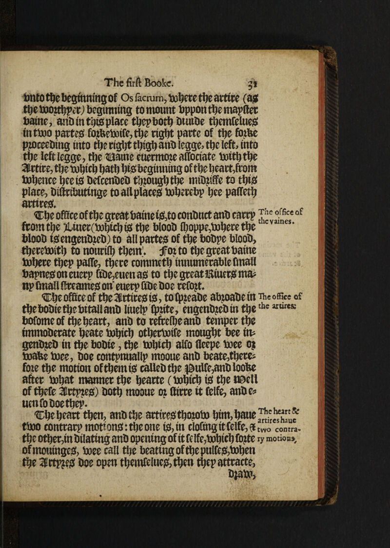 bnto the beginning of Os factum, bohete the aittre (a? theboojthperj beginning to mount bpponthemapftet batne, anb in th# place the? both buttbe themfelueS tntboo partess fojftebotfe,the right parte of the fbifte pjtoceetnng into the n'gJjt thigh anb legge, the left, into the leftlegge, the tuaute euermoie affociate boiththe atrttre, the bohich hath hi# beginning of the heart,from bohence heeio befeenbeb though the mtb?iffe to this! place, Diftributinge to all places! bohetebp hee paffeth Che office of the great batnetsf,to conbttet anb catrp -T^ °/fice of from the ;tliuet(bohtcb ts> the bioob fhoppe,bohere the1 bioob foengenbieb) to all parted of the bobpe bioob, therewith to nourtfl) them', f oi to the great baine inhere thep pafle, there commeth innumerable fmall bapnegoneuerp ftbe,euenao to the great iltuergma? np fmall fireameo on euetp fibe boe refojt. Che office of the Attires! to, tofpjeabe abtoabe in office of thebobiethebitallanb Ituelp ftnite, engenb?ebin thethe aurcs; bofomeof the heart, anb to refrelheanb temper the immoberate heate bohtch othetboife mought bee in* genbteb in the bobie, the bohich alfo fleepe boee oj boafce boee, boe contpmiallp mooue anb beate,there* foie the motion of them to callebthe $ulfe,anb loobe after bohat manner the beatte (bohich tO the t©ell of thefe 3£rtpieo) both mooue oi fitrre tt felfe, anb e* uenfoboethep. , Che heart then, anb the artiresithojobo him,haue^'e^;f tboo contrarp motions!: the one to, in clofing it felfe, 9 two contra- the other,in bilating anb opening of tt fe Ife,bohich Coite ry motions^ of mouingesi, boee call the beating of the pulfeis!,bohen the 3!ftp?!# boe open themfeluc&then thepatttacte, biabo.