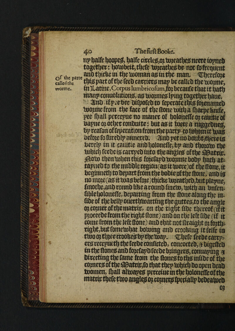 np halfe hoopeS, halfe circles>or boreathes neere topneb together: tjotxibeit, thefe boreatheS be not fo frequent f h anti thtefee in tije booman as in the man. 'therefore called the this part of the feeD carriers map be calleD the morme, vrormc* in Ratine,Corpus lumbricofum.fbj bccanfe that it hath manp eonuoluttonS> as boormes tying together haue. 3tiD ifpeebee DifpofeD to feperatethiSfbrenameD boortnefcom ttjc faceof the tone boith a fljarpe&nife, pee (hall percepue no maner of holonelfe or cauttte of bapne or other conDuite: but as it boere a rttggcDnes, bp reafon of feperarion from thepartp to bohorn it boas before fo fureDIp annereD. 3iuD petnoDdubtythereis bereip tn it cauttte anti holonelfe* bp anD thozobo the bohtch feeDeis carrpeb into the angles of the ^atrijr. #obo then teljen this fozefapD boornue boDp tjatij at* tapnebto the mtDDle tegion(as it boet*e)of the (lone, it beginneth to Depart from tljc boDie of the tone, aim is no more(as itmasbefbre)tqicfeeboreat}jeD,but piapne, finothe,anD ronnb libs a rounD finebo, mith an bnfem fibleholonelfe,Departing from the tonealongtlje iu- GDe of the bellp ouerthtoatting the gutte&to the angle or corner of tqematrtje, on tlje right fiDe thereof cifit procceDefrom tlje right tone) anD on the left fiDe (if it come from the left tone) anD that not ifratgljt ot fortes rigl)t,but fomebohat hoboing anD crooking itfelfe in tboo or three ctoobes bp the map. chefe feeDe carrps ers recepueth the feeDe confirteD, concocteD, 5 DigefteD in the tones anD forefapD feeDe bzingers, conuaping 9 Directing the Came from the toriestothSinliDeof the corners of the ^attfcfo that thep bohtch Do open DeaD boomen, (hall alboapes percetue in the holonelfe of the matrijr thefe tmo angles or tojnws WaUp beDeaboeD ♦ • • ' . ' *> w-j