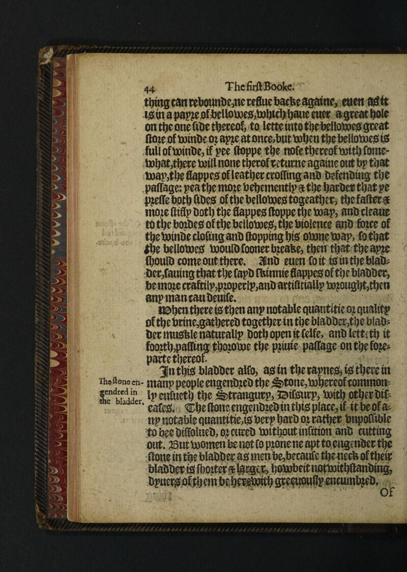 thing can rebounbe,ne teflue bache agatne, euett agtt igwt a pap?e ofbcUoboe&bohicb bane euer a great hole on the one fibe thereof, to iette into thebelloboeg great ftoreof toinbe or apjcatonce>but boheuthe belloboeg! fo full ofbainbe, if pee ftoppe the twfe thereof boith fome- bohat,there tetll none therof returne againe out bp that toap,the flapper of leather eroding anb befenbing the paffage: pea the mo;e behementlp a the barber that pe pjeffebothftbeg of the bellotoesi togeathcr > the falters mo;e ttiflp both the flapped ftoppe the boap, anb cleaue to the borbesi of the belloboeg, the btolence anb force of the boinbe ctofing anb flopping his obone boap, fo that Ihe belloboeg bjoulbfoonertyeabe, then that the apje (ItouiD come out there. 3dnb euen fo it fo in the blab* Der,fauing thatthe fapb fbtnnte flapped oftlje blabber, be more ctaftilp,properIp,anb artiflttallp borought,then anpmancaubeutfe. t©hen there fo then anp notable quantise oj qualitp of thebrine,gathereb together tn the blabber,the blab* \ her mubfelenatutallp both open it felfe, anbletti th it foorth,patting thorome the pjiure pattage on the fore* parte thereof. 3Jnthfo blabber alfo, agstn the rapne&fo there in Th&ftons cn- manp people engentyeb the ^tone,bohereof common' £nd,rfa,‘,n Ip enttreth the &trangurp, Jaifourp, boith other bifc eafeb. o$e flour engenbreb in thfo place, if it be of & np notable quantities berp harb or rather bnpoffible tobeebittolueb,ojcureb botthoutintttion anb cutting out. asut boomen be not fo prone ne apt to engenber the