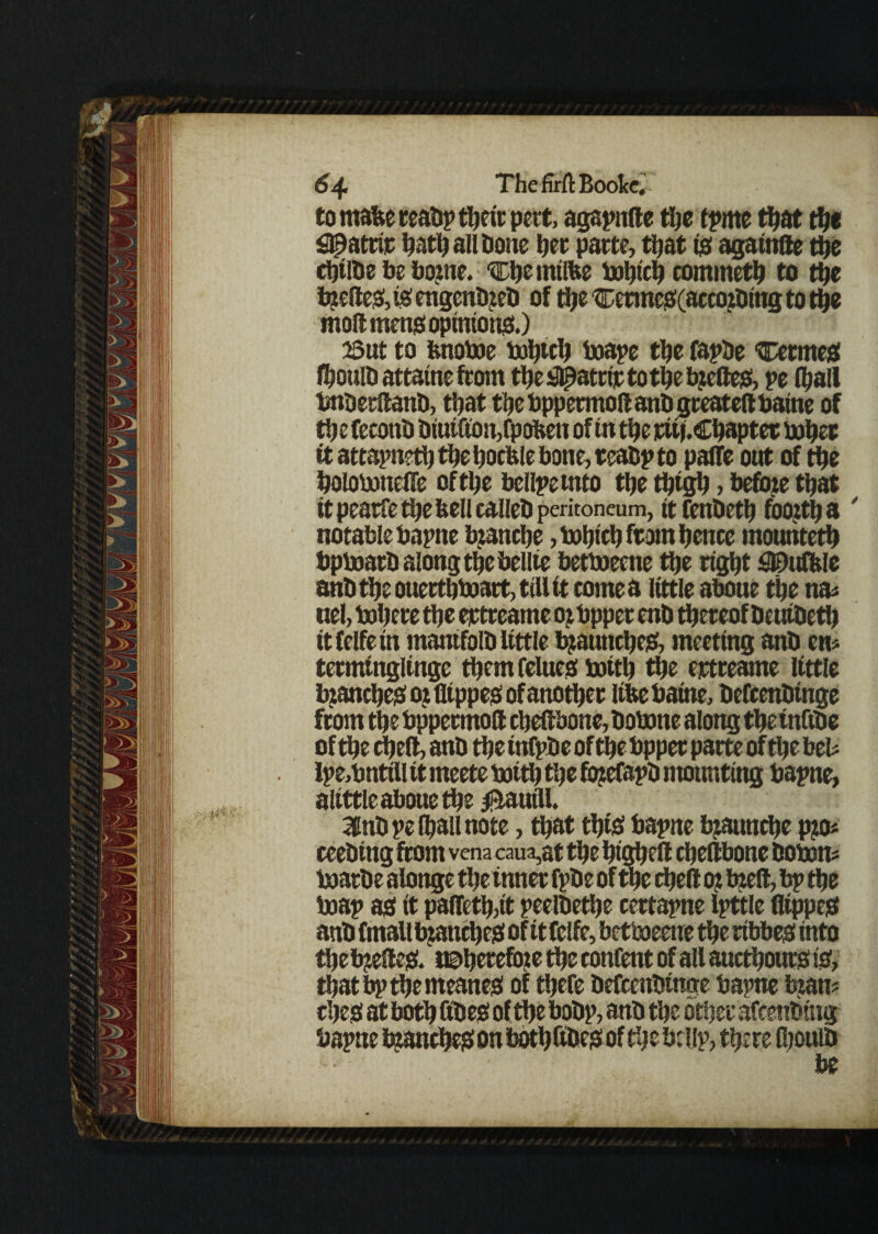 to rnafee reals? tljeir pcct, agapnfte tljc tpme that the £Jpatrit hath all hone her parte, that ts againfte the chtlbe be borne. ■chemilbe bohtch commeth to the breftes,isengenbreb of the ^Detmescaccorbing to the mod mens opinions.) I3ut to fcnotoe bohwh boape the fapbe ‘CetmeS Choulb attaint front the s^atrtr to the breftes, pe (hall bnberftanb, that the bppermoft anb gceateft baine of the fecoitb Diutfion,fpofceu of (n the mj.Chapter bohet it attapneth the hocble bone, teabp to paffe out of the holobonelfe of the bellpetnto the thigh, before that it pearfe the bell calleh peritoneum, it fenbeth foozth a notable bapne branche ,bohichftom hence mounteth bpboatb along the bellte betboecne the right S©idb(e anb the ouecthboart, till tt come a little aboue the na* uel, bohere the ertreame or bppet enb theteof Deuibeth itfelfein mantfolb little braunches, meeting anb cm tetmtngltnge them felues boith the ertreame little branches or fltppes of another libe baine, befcenbtnge from the bppermoft cheftbone, bobone along the tnft.be of the cheft, anb the infpbe of the bppet parte of the bel* Ipe,bntill tt meete boith the forefapb mounting bapne, altttle aboue the $autll. Unbpefhallnote, that this bapne braunche pro* ccebtng from vena caua,at the htghcfl cheflbone bobon* boarbe alonge the inner fpbe of the cheft or breft, bp the boap as tt paffeth,tt peelbethe certapne Ipttle fltppes anb (mail branches of it Celfc, betboeeite the ribbes into tire breftes. UDherefore the ronfettt of all aucthouts is, thatbpthemeanes of there befcenbtnore bapne bran* rijes at both fibes of the bobp, anb the other afeenbtitf bapne branches on bbthftbes of the btllp, there Ihoulb ' be