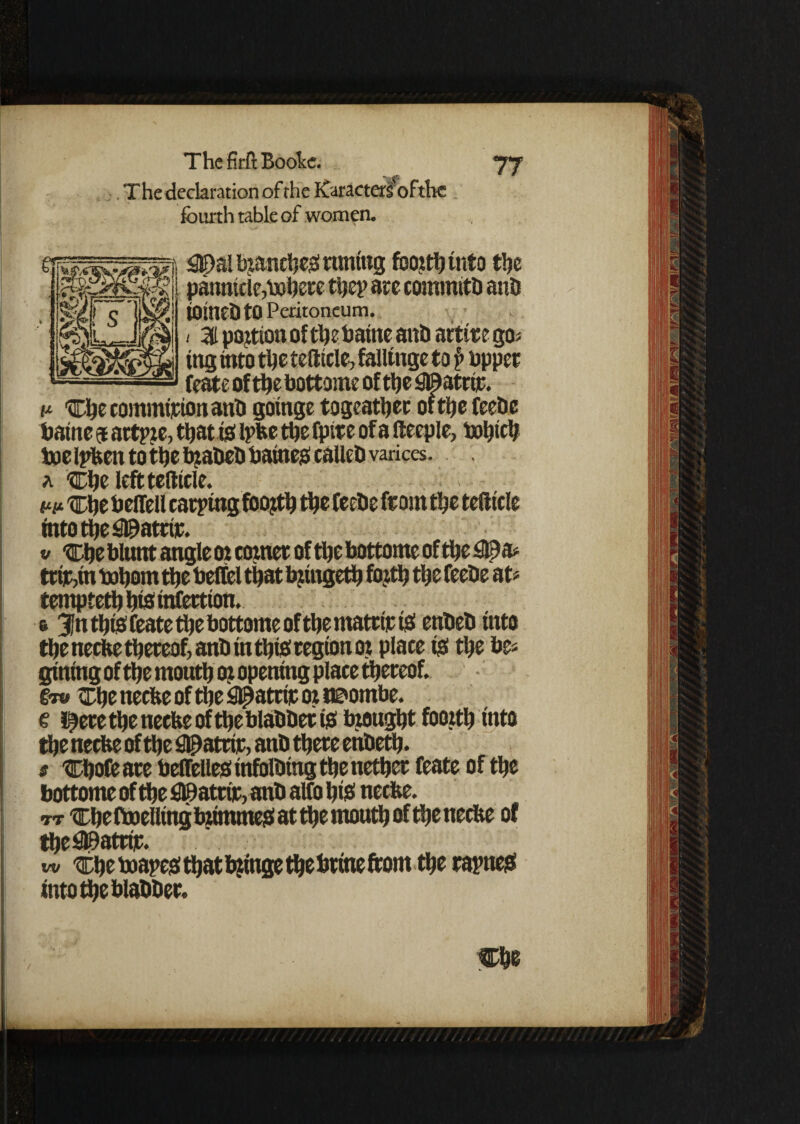 The declaration of the Karacterlofthc fourth tabLe of women. ^al branches tuning foorthtnto tljc ^ nanntriearhere then are commits anil rs'j panntcle,inhere the? are commttt) and joined to Peritoneum. / M portion of the baine and active go* ing into the teliicle, falltnge to p upper s feate of the bottome of the £©atrijt. v- 'Che commipion and goinge togeather or the feede baine 5 artpre, that is ipfce the fptte of a lleeple, bohith toe ipfcen to the beaded Paines called varices. a Che left tellicle. w* che beffell carping foo^th the feede from the tell tele into the S^atrir. v che blunt angle or cornet of the bottoms of the #a* tw,m tohom the telfel that bjtngeth forth the feede at* tempteth hfo infection. e 3In this feate the bottoms of the matrir is ended into the neefee thereof, and in this region or place is the be* gining of the mouth or opening place thereof. §iv Che neefce of the s&patrit or naombe. e l|ere the neefee of the bladder is brought foorth into the neefee of the Matrir, and there endeth. s Chofeare belfelles infolding the nether feate of the bottome of the fi©atrir,and alfo his neefee. tt Che ftoelling brimmeS at the mouth of the neche of thefiBatrtr. w che boapes thatbringe thebrine from the capites into the bladder.