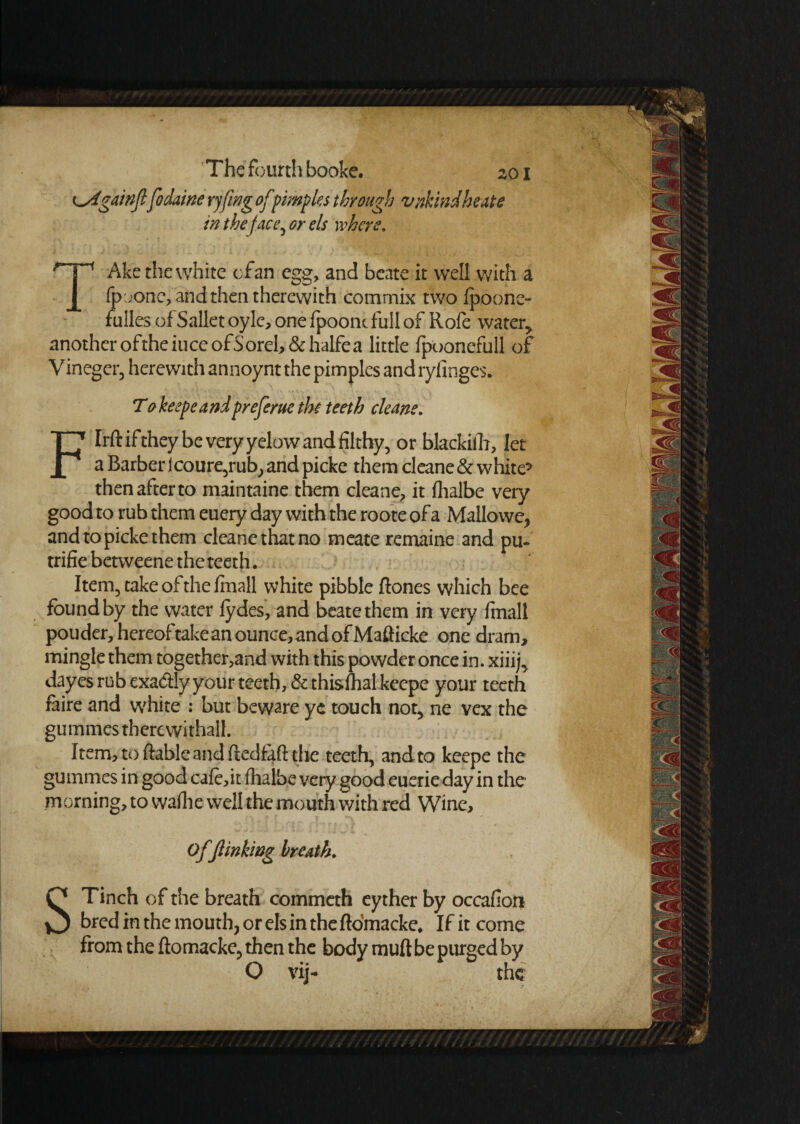 t^fgainffodaine ryfing of'pimph through vnkhidheate in the face, or els where, TAke the white of an egg, and beate it well with a fpoone,andthentherewith commix two Ipoone- fulles of Sallet oyle, one fpoonc full of Rofe water, anotheroftheiuceofSoreh&haifea little fpoonefull of Vineger, herewith annoynt the pimples and ryfinges. Tokeepeandpreferue the teeth cleans, F Irft if they be very yelow and filthy, or blackiih, let a Barber jeoure,rub, and picke them cleane & white5 then after to maintaine them cleane, it fhalbe veiy good to rub them euery day with the roote of a Mallowe, and to picke them cleane that no meate remaine and pu- trifie betweene the teeth. Item, take of the fmall white pibble ftones which bee found by the water fydes, and beate them in very fmall pouder, hereof take an ounce, and of Mafticke one dram, mingle them together,and with this powder once in. xiiijT dayes rub exa&ly your teeth, & thisfhalkeepe your teeth faire and white : but beware ye touch not, ne vex the gummes therewithal!. Item,toftablcandftedfaftthe teeth, and to keepe the gummes in good cafe,it fhalbe very good euerie day in the morning, to wafhe well the mouth with red Wine, Of finking breath. STinch of the breath commeth eyther by occafior* bred in the mouth, or els in the ftbmacke* If it come from the ftomacke, then the body muft be purged by O vij- the