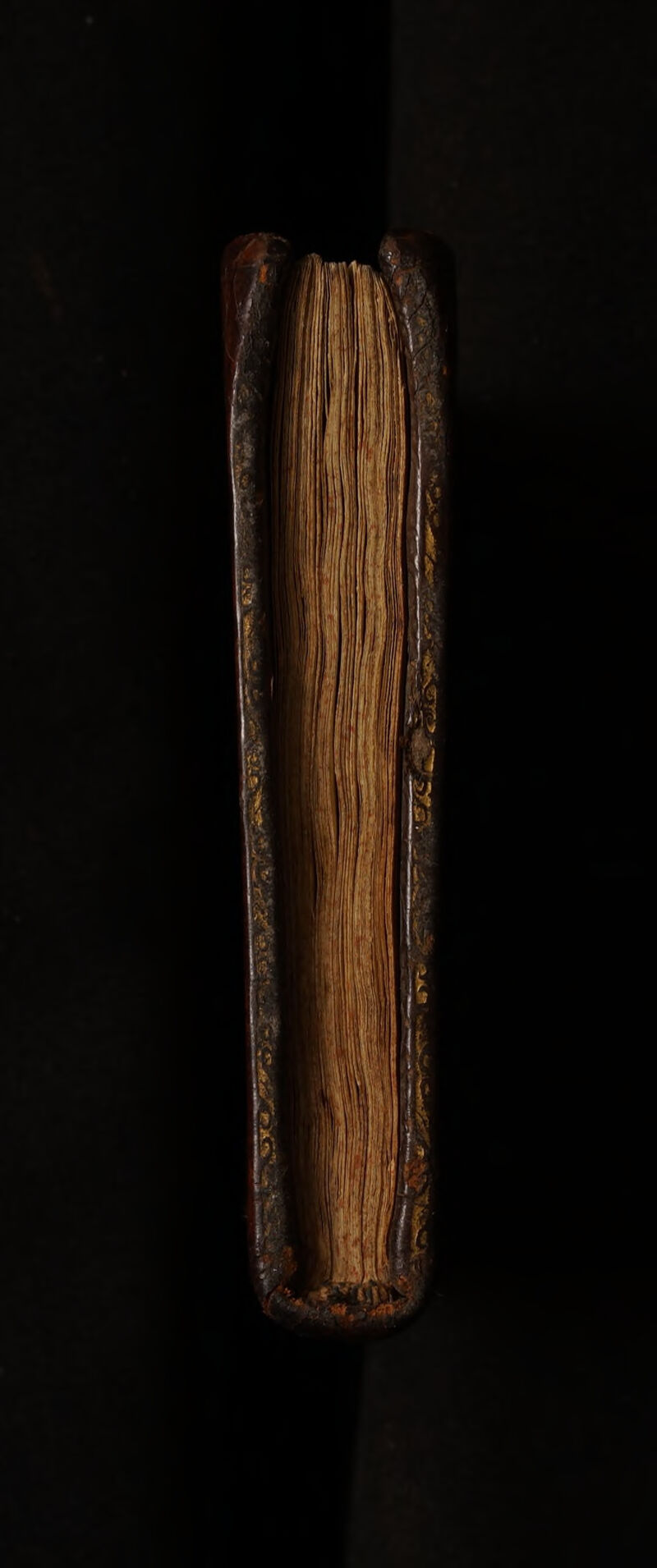 No text description is available for this image