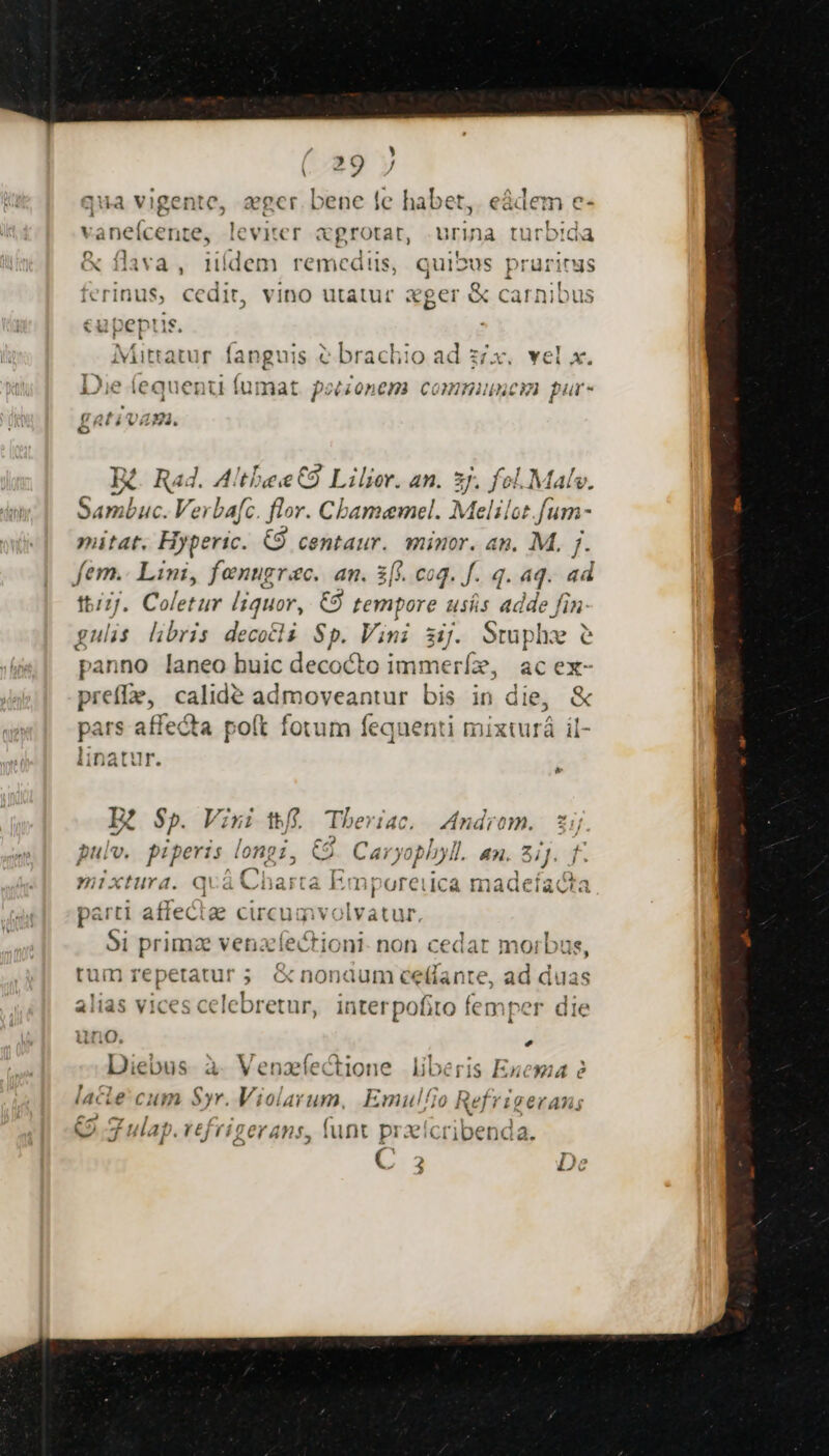 , , ^1 qua vigente, zer. bene fe habet, eádem e- D : : E «1x21 vaneicente, levier agrotar, urina turbida D &amp; flava, iidem remediis, quibus prurinas ferinus, cedit, vino utatur xger &amp; carnibus Mattatur fanguis &amp; brachio ad z£x. vel x. Iw r3 M sansisde d BS. din En as idded eJ »Mvn 1j X7 iC iCquentct | 1inat péésonen CONIHIHANC il nr x CafivaAN. o JE. Rad. AltbeeC9 Lilier. an. 2j. fol.Malv. hersin Verbafe flor. Chbamemel. Pony fum- putat. Hyperic. C9 centaur. minor. an. M. j- fem.. Lini, fenugrac. an. x[i. coq. f. 4. 4q. ad t/7j. Coletur liquor, C9 tempore e adde fin. gulis libris decotli Sp. Vini sj. Stuphe e panno laneo buic decocto imme: de ac ex- prefle, calidé admoveantur bis in die, pars affecta poít fotum fequenti mixturá il- nt'itr li Jatu B * E $?. Vini tt./f. Tberi 46. ndrom. 21 pulv. piperis longi, CS Caryoplll. 4n. 8i]. r. mixtura. qQvà Charta Em poreiuca madefacta parti affeciae cucumvolvatur, 9i primz venafectioni- non cedar morbus, rum reperatur ; &amp; nonum ceffante, ad duas alias vices itlel oretur, interpofito femper die uno. e Diebus. à. Venzíectione liberis Enema 2 id4cie cum Sr, V. 10141 unm, Emul/jg ieef? Lgerang eu n Q f ulap.refrigerans, lunt prxícribenda L3 De
