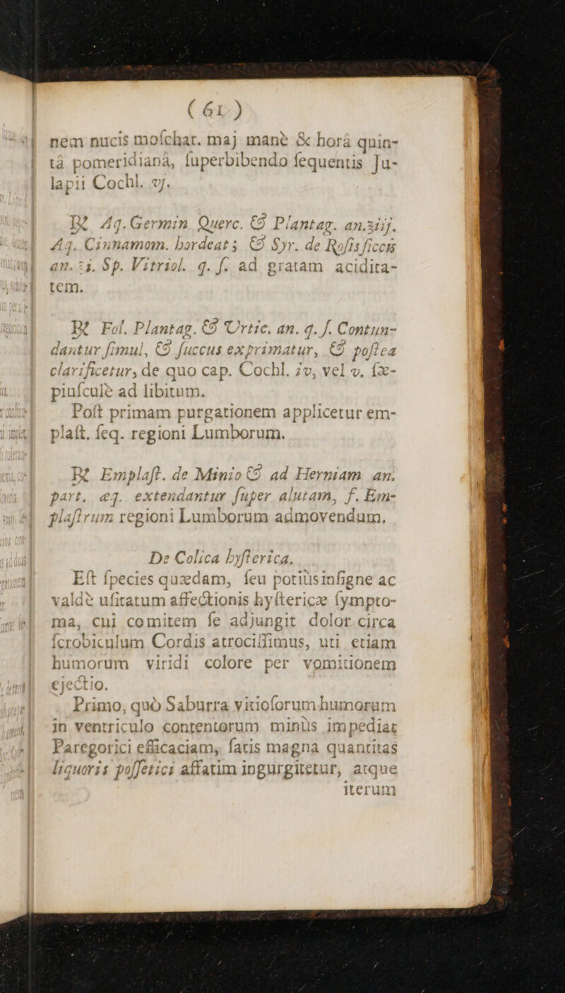 nem nucis moíichar. maJ immane «x horá quin- LM : rivos vae : tá pomeridiana, [uperbibendo fequentis Ju- NEHELIUR. : : | ^ - lapi1 Cochi. ej x y Wu x es esp da v y aet)  Ex 4g.Auxermin Querc (OO Piantag. an.3i f. - » / z ; dez ass. MEM CURL El! ,, j|, L2 imo. Dordear s uo IjJIL.. G8 n ] 4 hc ; a yr: f ] isi Me 4 A f y4 7^ | ^ n1 )yra4t^! » lira a? H 2j r LITiO|. d^ J* € i gratam aCclaülta- RA LC III. QUE! DL. l6 v : ES 4 FiAntag. c c FIC. 49. « Ni Cont un- 7 mu , J  4 6211 ; ^n 301 4 ^ Füc » aazt T J4H eA ^. Net J4ccus eX 4H» tur, ^ f? le4 n] f ' deJka la (OY110 CAD ( « HI y 120] 5 14 Cat ZjECC HT, CIC CIUuO di MUCH. 20, VCA '0, 1 J i ) jos aEVSERT E n eet piuicuic ad l11DILUutn. D yt ;  Presidio din , roit primam purgationem appiicetur em-. H L^ j| r - * ü 1 bs l : Bo. ed pialt, i€q. regiont £,uImbol uin. T» 4 iv o2: J Je. A 4. Ey IX Empiajr. ac Mino C2 qa I1€y nam 4n, ; P ^ part, «j. extenaantur Juper aiutam, f. Em- ^ Li gi«flrum regioni Lamborum admovendum. De vVOIICtA Eit Ípecies quae Ina, cni comitem j f^ 1 n  M t ^ E 4 ^ MP 2 icroolcuium Cordis atroci! lim us, uti etiam empresa i A ar eei H4 err Ni humorum viridi colore per vomitonem € 1 LIO (74 A ) ui. Po Wu ry SA Om ham : X rimo, S IC) 3aDUurra Vitioigrum uumot jn ventriculo contentorum tnints im pealat 1^3 -  - * P » x E n satu - M1 URL AG e iidCaciaun, fatis magna quantitas J ; HC Yif P9) l'etici affatim in gurgite Lur