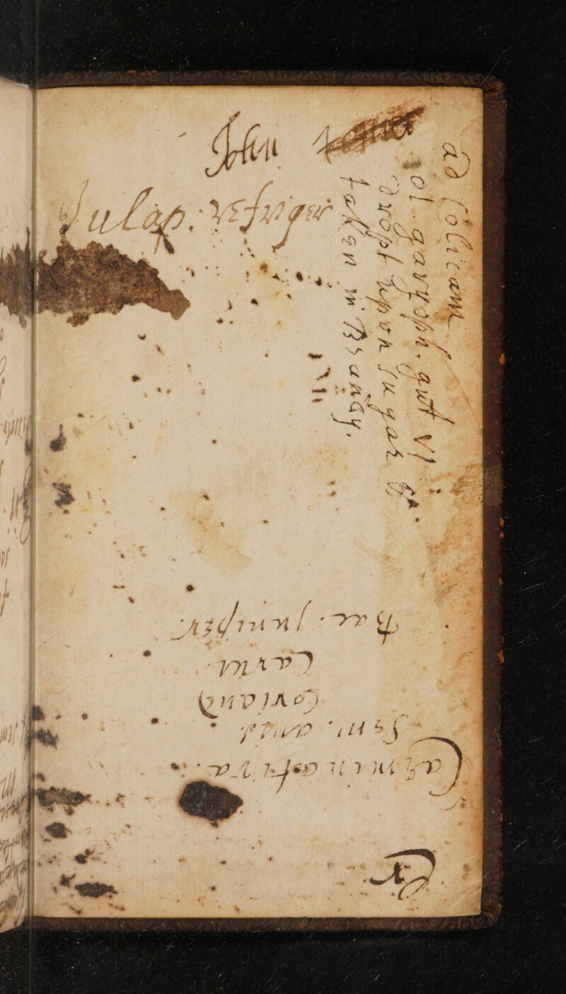 No text description is available for this image