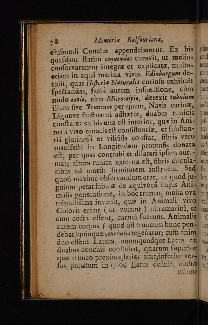 cufmodi Conche .appendebantur. Ex his quafdam ftatim coquendas curavit, ut melius | confervarentur integre et. explicata, multas etiam in aquá marina vivas Edinburgwm de- culit, quas Hiflorie Naturalis curiofis exhibuit fpectandas, factà autem infpe&amp;ione, cum dudo ecitlo, tüm JMicrocefpie, detexit tubulum Lignove flu&amp;uanti adhaeret, duabus tuaicis conftare: ex hisuna eft interior, qus in Ant- mali vivo tenaciseft confiftentiz, et fubftans - À a ^ e. . . | tiá glutinofi et vifcida conftat, fibris vero: eft, per quas contrahi et dilatari ipfam autu-; mat; altera tunica externa eft, fibris circula-| ribus ad motüs firmítatem inftructa. Sed quod maxime obfervandum erat, ut quod ju- gulum petatfabuiz de xquivocá hujus Ani-4 malis generatione, in hoc trunco, multa ova) minutillma invenit, que in Animal viva Coloris erant (ut vocant ) ultramacini, et cum cocta effent, carnei fuerunt. Animalis| autem corpus (.quod ad truncum hunc pen- debat quinque corebulis tegebatur; cum enim dao effent Latera, unumquodque Latus ex duabus conchis conítabat, quarum faperiog qua trunco proxima,latier erat;inferior ver4 minor nino Oh Conj Corn