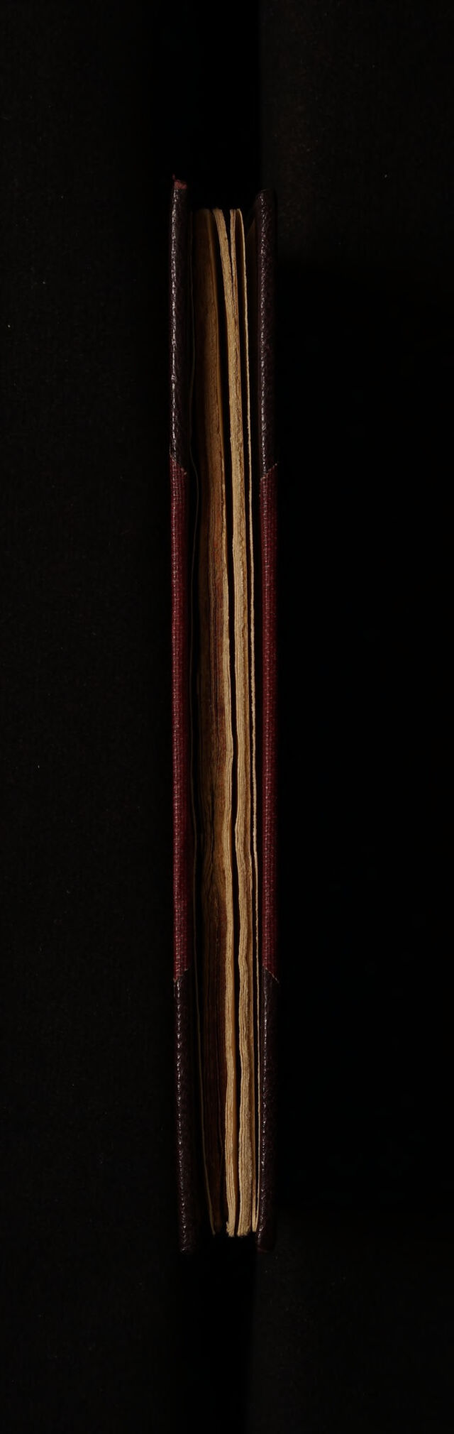 No text description is available for this image