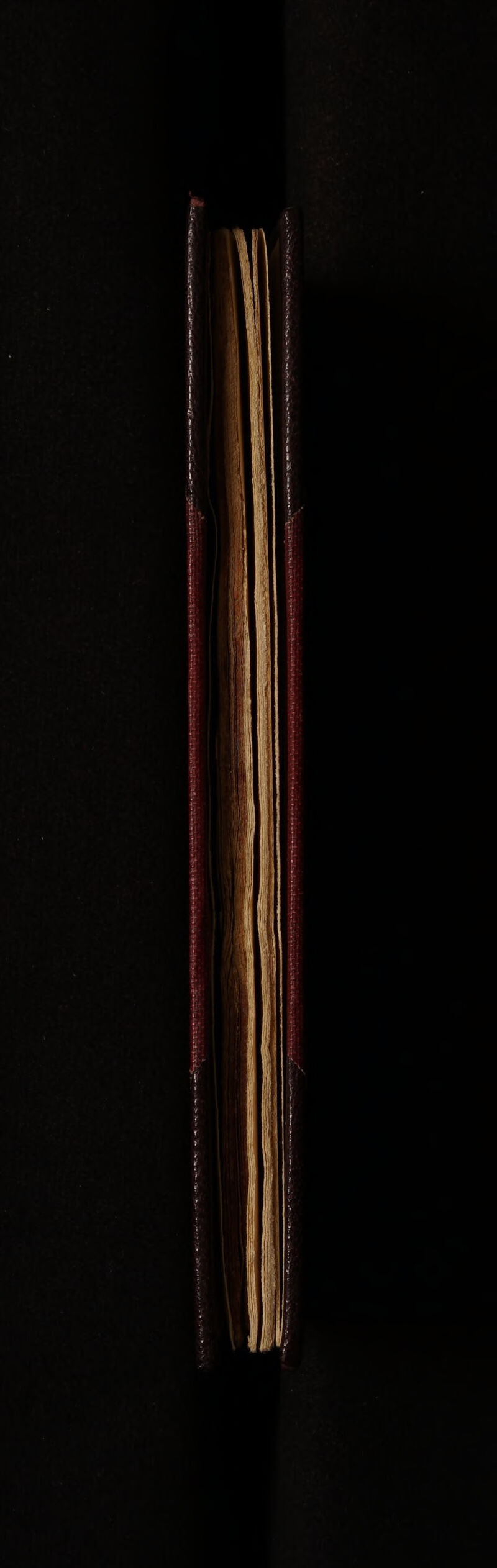 : seach me - rte ’ pote tie! ota Ls shar > es iz wee fgets a Ne ea Fa NOt ain EO mT i ya Go en 98 ES PA GH TRL TS Mee TIE EEL SATA : alas arlene eh OEE eS TEES ae 537 , — Sr Nt saan, geht = Z Spee ees h, Sti sighs nsc me aa ete Ea ee arena oS ae ie Se a