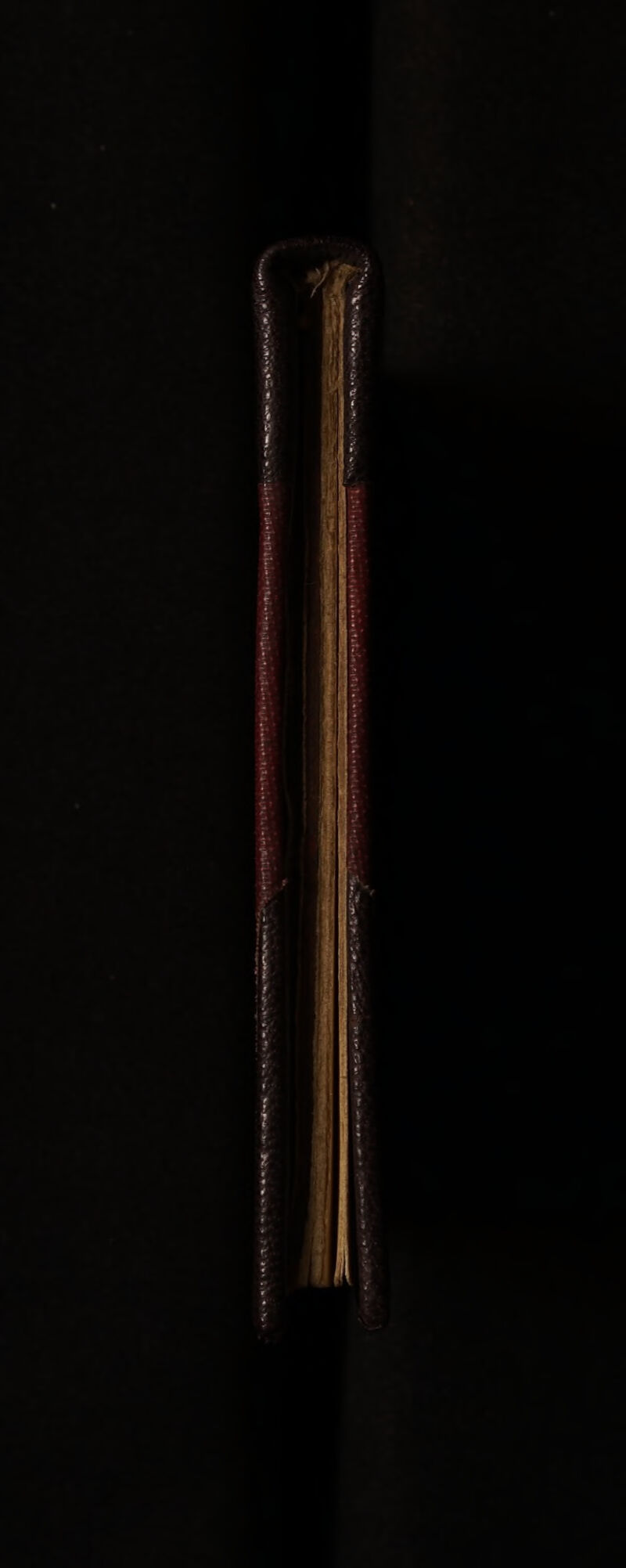 No text description is available for this image