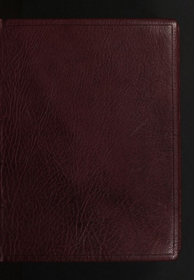 digitised image 1