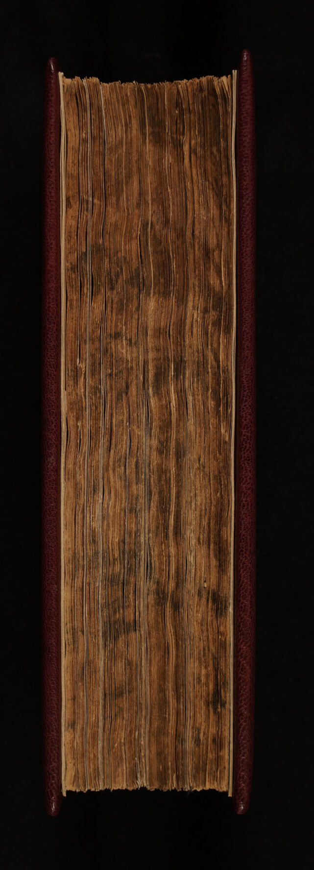 digitised image 3