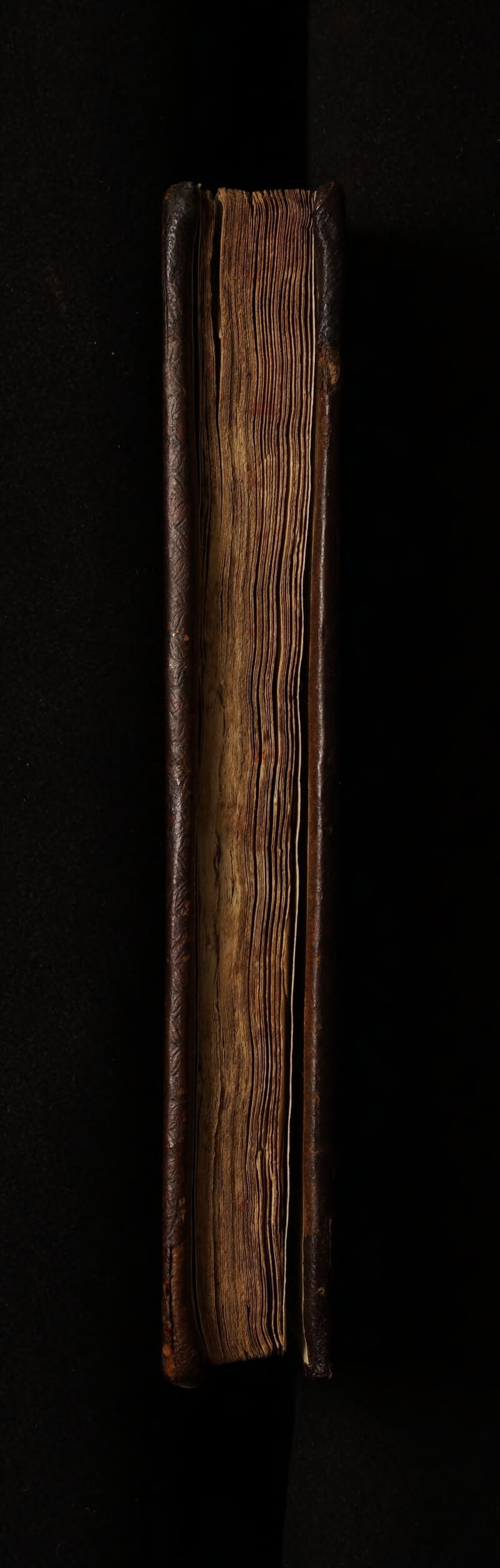 No text description is available for this image