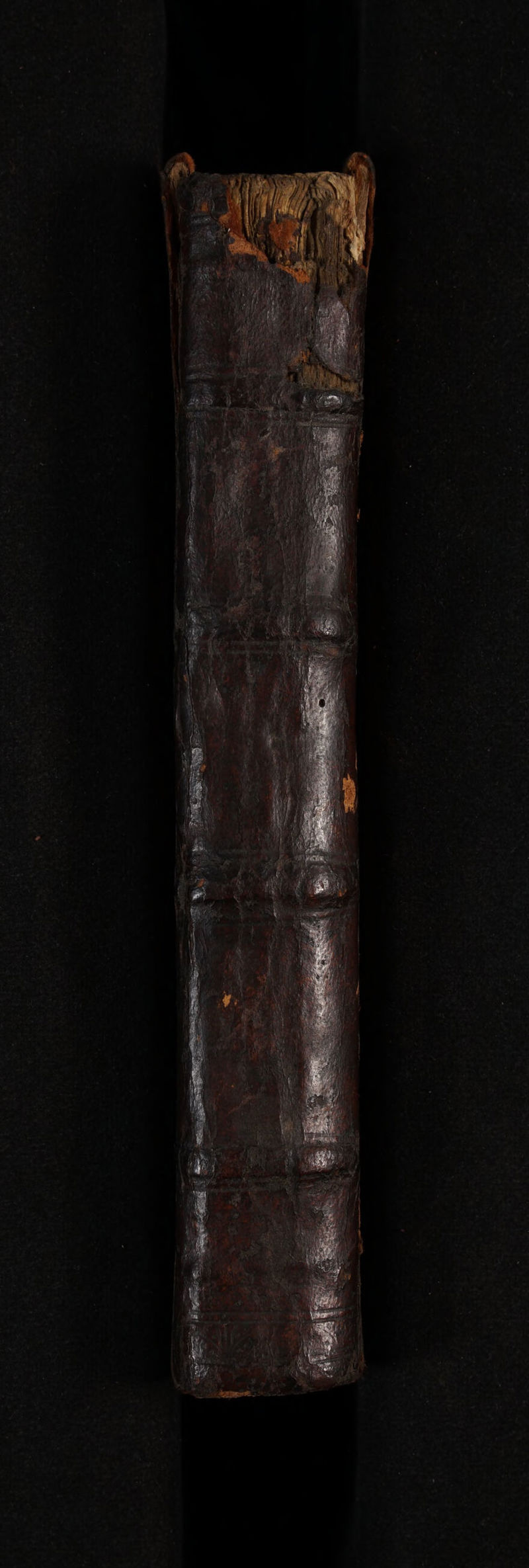 No text description is available for this image