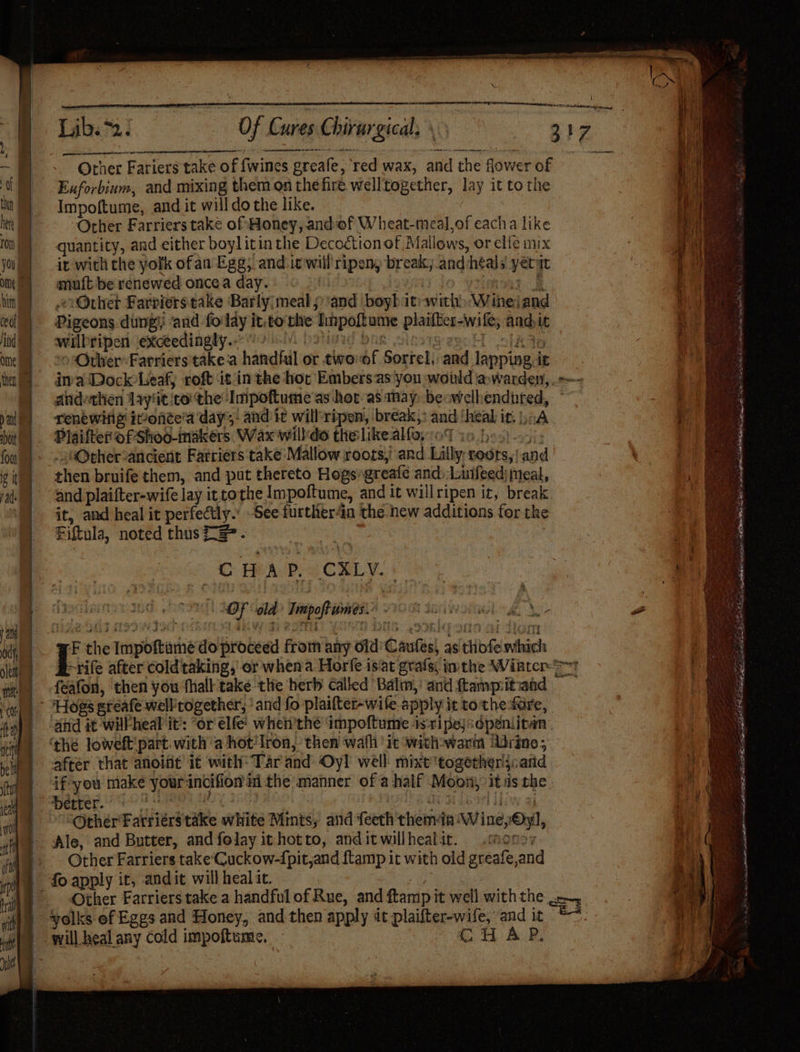 ui! Oke Chirargicily Zz ae pesmesdinh -a Other Fariers take of fwines greale, ‘red wax, and the flower of te Euforbium, and mixing them on thefire welltogether, lay it to the ha Impoftume, and it willdo the like. ne Other Farriers take of Honey, and of Wheat-meal,of eacha like i) quantity, and either boylitinthe Decoétionof A allows, or elle mix you ir with the yolk ofan Egg; and.it will ripen, break, and heals yet) i am) omuft be renewed oncea day. lin) «chet Farriers take ‘Barly; meal ;) and boyh itiwith ined ‘and ma cet Pigeons dung} and fo fay i it. nie cehinriing piaailicatwa ls ands it i ind wilk fipen exceedingly.. f eae ome =» oeOrberFarriers take-a handfull « or twovof Sorrel, and insineth bee ae hal} imaDock-Leafy roft it'in the hor Embersas you would a,warden, .— : andethen Aay' i¢ ito the Impoftume as hor as may: be«well endured, ‘oT a) Tenewing imonce’a days. .and it will'ripen, break,: and ‘eal it its | aA : my bul) PlaifterofShoo-makers Wax will'do theslike alfo, oF te.bas)- | fo)» -2Orher2anciert Fartriers take Mallow roots, and Lilly, roots, | and . pi 9 ti then bruife them, and put thereto Hogs: greafé and, Luifeed} meal, : aS a and plaifter-wife lay 1 it.to the Impoftume, and it willripen it, break it, and heal it perfectly.’ See furtherin the new additions for the Fittula, noted thus 73. CHAP, CXLy. es oe % ; ohne ms ola go adel 2 a San Wore) y, Xr 2 i: | GG HI2W5 : my hi Ft the “impottarhe do proceed froth any ond Crnries) as dito which ia) «© Ebrife after coldtaking, or whena Horfe is‘at grafs, inthe Winter =~ ea men) <feafon, then you hall take the herty Called Balm,’ and ftampzit ahd ‘ole “Hogs sreafe well together; ' ‘and fo plaifter-wife. apply it to the fare, fa | and it willheal it’: “or elfe' when'the impoftume 4 is: ripe; épeniitan ‘the loweft part. with a hot‘lron, then wath 'it withowarm Mdrine; nal of ioe after that anoint ié wath: Tar and Oyl well mixt ‘togethers: sand | i uy if-you make your: incifion ii the manner of a half ene: its bye ) ar oie. better. i) ae Other'Farriérs take white Mints, and {eth them in Mine) Oy, Ale, and Butter, andfolay ithotto, anditwillhealit. .mor: Other Farriers take’ Cuckow-{pit,and ftamp it w ith old greafe, and | fo apply it, andit will heal it. \§ Other Farriers take a handful of Rue, and ftamp' it well withthe ) ‘yolks of Eggs and Honey, and then apply at vials and it bs oul 1) will healany cold impoftume, — CHAP. t i