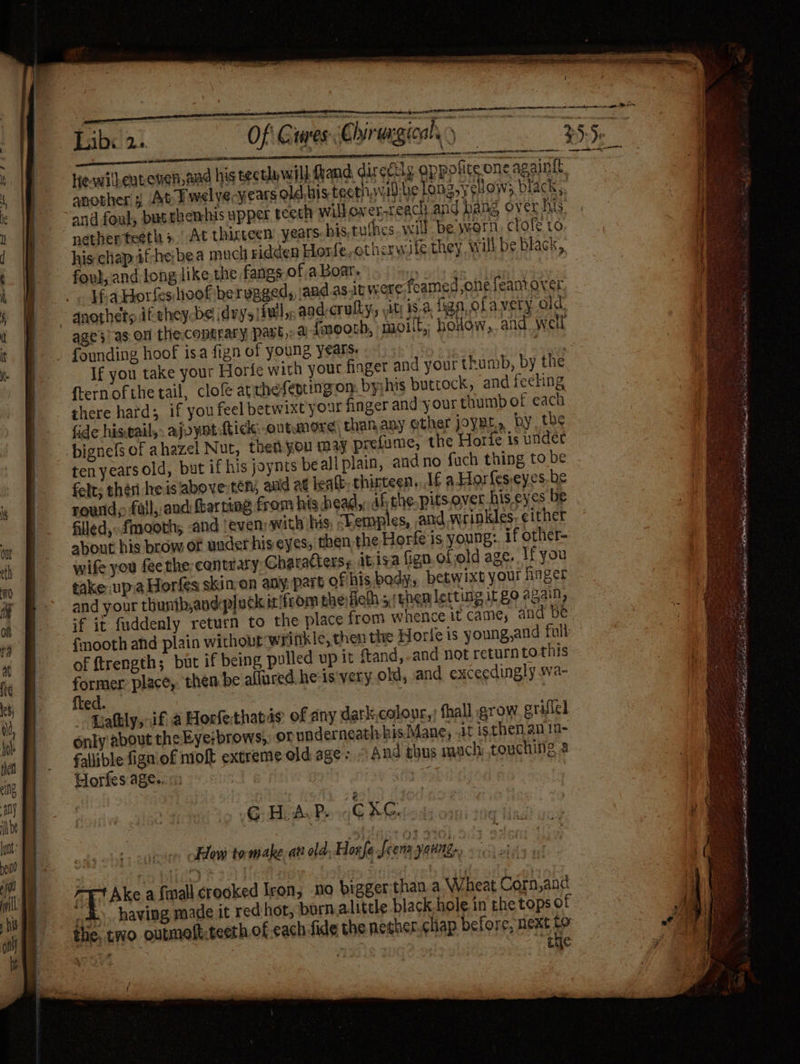 a «2 . <> 8 => eee a = Of Guares Chirueg we 2.) hewilleuteven,aad his tectlay will frand direécty oppofite one againit. and foul, bucthemhis upper teeth willover-reach and hang over his nether teeth +. At thicteen: years. bis,tu Hb his chap if-he: bea much ridden Horfe, otherwile they, will be black, foul, and long like the fangs of a.Boar. , if-a Horfes hoof bervgged, jand asin were foamed one feantover, ages’ as on thecontrary past, a fmoorh, moilt, holow,. and well founding hoof isa fign of young years. If you take your Horfe with your finger and your thumb, by the ftern ofthe tail, clof aprhefenting on byjhis buttock, and feeling fide histwail,- ajoynt tidk: -outunore than any ether joynt, by, the ten years old, but if his joynts beall plain, andno fach thing to be felt; théri re is above ten, anid at leatt. chinteen..1f a Horfeseyes be filled, fmooth; and leven: with his, hemples, and wrinkles. either about his brow or wader hiseyes, then the Horfe is young:. if other- wife you fee the cantrary Characters, itisa fign.ofjold age. If you take up.a Horfes skin-on any, part ofthis body, betwixt your linger and your thunib,and pluck itifrom theifielh 5 ;themletting if go a gain, of ftrength; but if being pulled up it ftand,-and not returntothis former place, then be allured.he is'very old, and exceedingly wa- fted. - Gattly, if a Horfethatas of any dark,colour,; fhall grow eriffel only about the Eyebrows, of noderneath his Mane, .it isthen an in- fallible fign of moft extreme old age: And thus mach. touching 2 Horfes age.. a : OR TRE NER op al if How tomake, an old. Hoife : Jeera yaund., Tt Ake a {mall crooked Iron, no bigger:than a Wheat Corn,and the. two outmoft:teeth.of cach fide the negher.chap before, next i ss : | itie of = = “ ee ad ae ‘a pci = TAM ELD EEA bt ges
