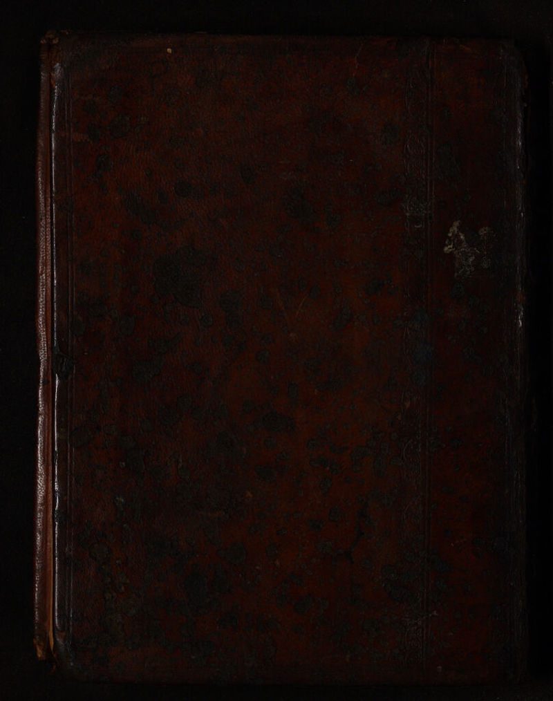 ay se : ~ ae ee ee ‘ - es = ss ‘ ‘ * er ; : a i TOES OF a eA ET SS