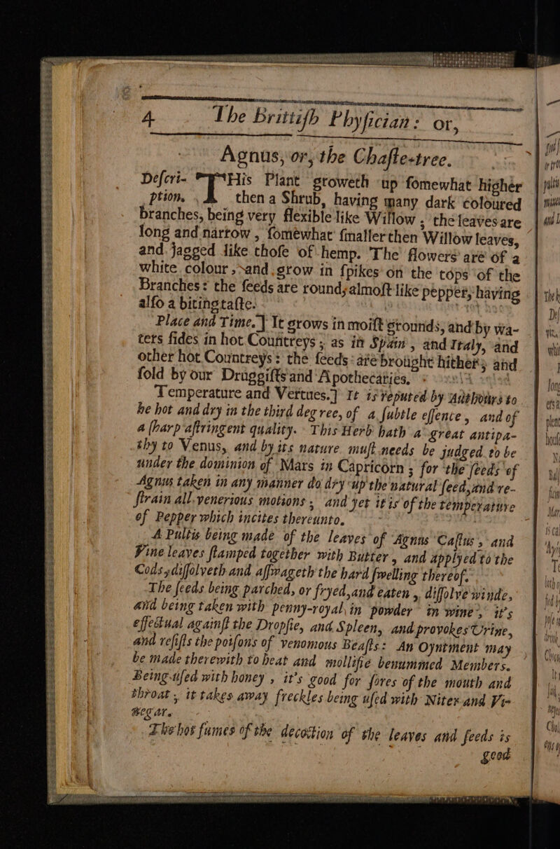 Re Se Se eee: Se Sgr SE RE EES ee ale Ee ee eres pin ge a ee Se ERR gece at ere et ee ee ete Be a ee SSE ee aia eS SE a Felis ie bet pete get. ghee ni sreey ty Carrs irlitata tetstetitaetata EN a eT HN branches, being very flexible like Willow ; the feavesare long and nartow , fomewhar' fmaller then Willow leaves, and. jagged dike thofe of hemp. The flowers aré of a white colour ,sand.grow in {pikes on’ the tops of the Branches: the feeds are round, almoft like pepper, having alfo a bitingtafte. : TOT Age Place and Time. ] It grows in moift rounds, and by wa- ters fides in hot Countreys ; as i Spain, and Italy, and other hot Countreys: the feeds: ate brought hither: and fold by our Droggifts and ‘A pothecaties, iA ose Temperature and Vertues.] It is ¥epured by Authours to he hot and dry in the third deg ree, of a fubtle effence, and of 4 (harp aftringent quality. This Herb hath a Lreat antipa- thy to Venus, and by its nature muft needs be judged. to be under the dominion of Mars in Capricorn ; for ‘the feeds of Agnus taken in any manner do dry up the natural feed,znd re- Strain all venerious motions . and ‘Jet itis of Pepper which incites thereunto. A Pultis being made of the leaves of “Agnus ‘Callus, and Vine leaves flamped together with Butter 9 and applyed ta the Codssdifolveth and affwageth the hard [welling thereof. The feeds being parched, or fryed,and eaten », difolve'winde, and being taken with penny-royal, in powder in wine’, it’s effectual againff the Dropfie, and S pleen, and provokes Urine, and refifts the potfons of venomous Beats: An Oyntment may be made therewith to beat and mollifie beuummed Members. Being fed with honey , it’s ‘good for fores of the mouth and throat , it takes away freckles being ufed with Niter and Vi- BOE Ae : Ehehos fumes ofthe decottion of the leaves and feeds is Zeon