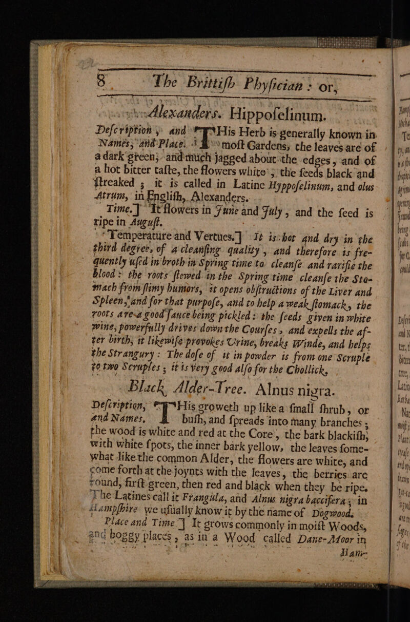 MER a> Fes tk et eee PE eS ees Pe Te 2 ee ah Soden a om coe Spi See he SS oe ape Sse Cee = Re ee ee ee ee eee ee a Says -tebescese isle gu eeugs eee ateee sf = AD Oss. £9 Lon yore 3 The Brittifh P hyfictan : or, wvdlexanders. Hippofelinum. Defcription » and PA His Herb is generally known in Names, and'Place. * B moft Gardens; che leaves are of a dark green; -arid'mmtich jagged about:\the edges , and of a hot bitter tafte, the flowers white 3. the feeds black and ftreaked ; it. is called in Latine Hyppofelinum, and olus Atrum, in Englith, Alexanders. _ Time. J It flowers in Fune and July, and the feed is ripe in Auguft. | '* Temperature and Vertues.] It is:hot and. dry in the third degree, of a cleanfing quality , and therefore is fre- quently ufed in broth in Spring time to cleanfé and ravifie the blood: the roots flewed. in the Spring time cleanfe the Sta- mach from flimy humors, it opens obffruétions of the Liver and Spleen,'and for that purpofe, and to help a weak flomack, the roots ave-a good fance being pickled: the feeds given in white wine, powerfully drives down the Courfes , and expells the af- ver birth, it likewife provokes Urine, breaks Winde, and helps the Strangury : Ihe dofe of it in powder is from one Scruple ¢0 two Scruples ; itis very good alfo for the Chollick, | Black Alder-Tree. Alnus nigra. De/cription, @ ee sroweth up likea {mall fhrub, or and Names, bufh, and fpreads into many branches - the wood is white and red at the Core, the bark blackith; with white pots, the inner bark yellow, the leaves fome- what likethe common Alder, the flowers are white, and come forth at the joynts with the leaves, the berries: are round, fir{t green, rhen red and black when they be ripe. ‘The Latines call ic Frangila, and Alnus nigra baccifera, in Place and Time | Ic grows commonly in moift Woods, Hamme wey pe st Tee et al iid Shirl 54 tel ten, WI