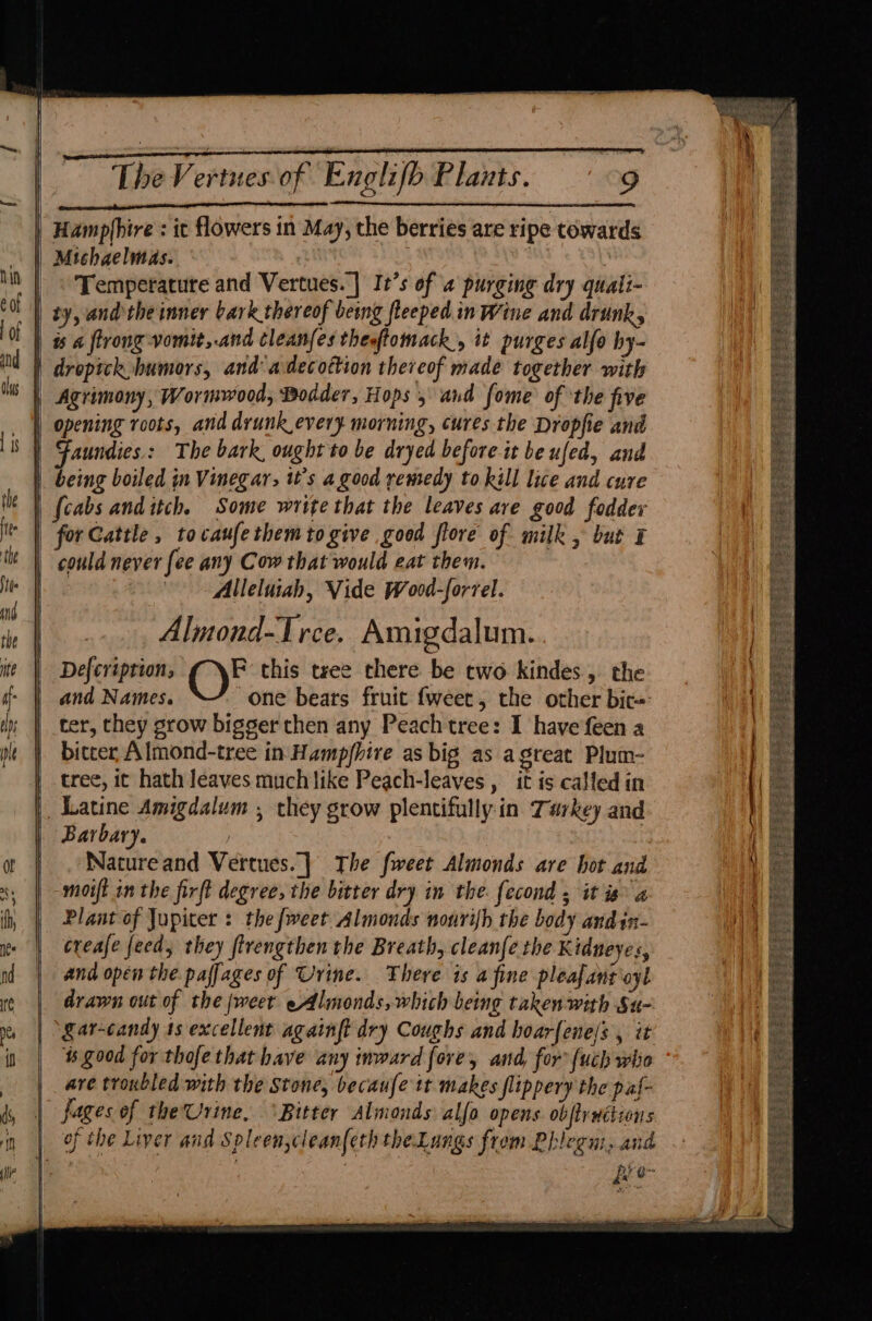Hamplbire : it flowers in May, the berries are ripe towards | Michaelmas. | : | © Temperature and Vertues.] It’s of a purging dry quali- | ty, andthe inner bark thereof being fleeped in Wine and drunk, | is a ftrong-vomit,.and cleanfes thesftomack, it purges alfo hy- | droptck humors, and adecottion thereof made together with | Agrimony, Wormwood, Bodder, Hops 5 and fome of the five | opening roots, and drunk every morning, cures the Dropfie and Faundies.: The bark, ought to be dryed before it be ufed, and | being boiled in Vinegar; it’s a good remedy to kill lice and cure | (cabs and itch. Some write that the leaves ave good fodder | for Cattle, tocaufethem to give good flore of milk , but I | could never fee any Cow that would eat them. | Alleluiah, Vide Wood-forrel. Almond-Trce. Amigdalum. Defcription; F this tree there be two kindes, the and Names. one bears fruit {weet, the other bic« ter, they grow bigger chen any Peachtree: I have feen a bitcer, Almond-tree in Hampfhire as big as agreat Plum- | tree, it hath leaves much like Peach-leaves , it is called in |. Latine Amigdalum , they grow plentifully-in Tarkey and Barbary. | Natureand Vertues.] The fweet Almonds are hot and moift in the firft degree, the bitter dry in the. fecond , it is” a Plant of Jupiter : the fweet Almonds nonrifh the body andin- creafe feed, they ftrengthen the Breath, cleanfe the Kidneyes, and open the paffages of Urine. There is a fine pleafant oyl drawn out of the {weet eAlmonds, which being taken with Su- gar-candy 1s excellent againft dry Coughs and hoar{ene/s , it ts good for thofe that have any inward fore, and, for’ {uch who are troxbled with the Stone, becaufe tt makes flippery the paf- fages of theUrine, ‘Bitter Almonds alfo opens obftrwitions of the Liver and Spleen,clean(eth the Lungs from Phlegui, and Bi G~