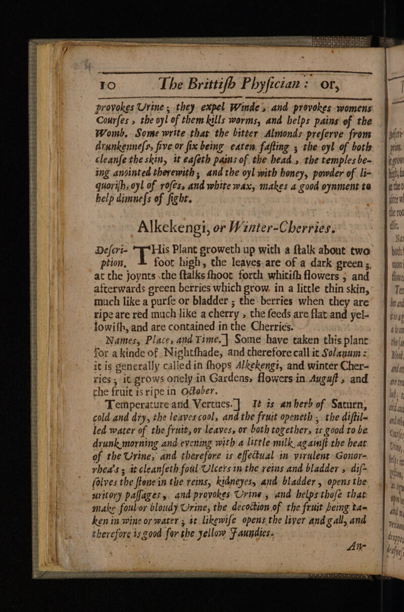 ’ — spake R NOU ear ear ARR) pig ROT rence 1s Ta A oh AE AAI LN ACT RT Chichewa Rea! ‘ ae’ SF sient eg = a = ae Ter evtiee eel hae dad . alia is anda rapiect Se TO The Brittifb Phyfician: or, provokes Urine, they expel Winde and provokes womens Courfes » the oy! of them kills worms, and helps pains of the Womb. Some write thar the bitter Almonds preferve from drankenne[s, five or fix being eaten. fafting ; the oyl of both cleanfe the skin, tt eafeth pams of the bead. the temples be- ing anointed therewith; and the oyl with honey, powder of li- quori{h,oyl of rofes, and white wax, makes a good oynment te help dimnef{s of fight. Alkekengi, or Winter-Cherries. Defcri- i Bas Plant groweth up with a ftalk abont: twa ption, foot high, the leaves.are of a dark STeeEN 5, at the joynts the ftalks fhoor forth whitith flowers ; and afterwards green berries which grow, in a little thin skin, much like a purfe or bladder ; the berries when they are ripe are red much like acherry , the feeds are flat-and yel- lowifh, and are contained inthe Cherries. Names, Place, and Time. | Some have taken this plane for akinde of Nightfhade, and therefore call it Solanum : it is generally calledin fhops Alkekengt, and winter Cher- ries, it grows onely in Gardens, flowers in. Augaft, and che fruit isripe in O¢tober. : - Temperature and Vertues.] Ié¢ is anherd of Saturn, cold and diy, the leavescool, and the fruit openeth , the diftil led water of the fruit, or leaves, or both together, zs good to be drunk morning and evening with a little milk againft the heat of the Urine, and therefore is effectual in virulent Gonor- rhea's s itcleanfeth foul Ulcers in the veims and bladder 5 dif folves the ffenein the reins, kidneyesy and bladder, opens the uritory paffages,. and provokes Urine , and helps thofe that make foutor bloudy Urine, the decottion of the fruit beng ta- ken in wine or water , a¢ likewife opens the liver and gall, and therefore is good for the yellow Faundics. 2 gipag wie tekire es Sage essegeseeeea fl Se ee 2 S- ae ae 1 enon yn ! ? fy f f} Ne ty Beare Se a eS ek SEES SM ee eae eS Re eel mi Ree tee ae aa pee
