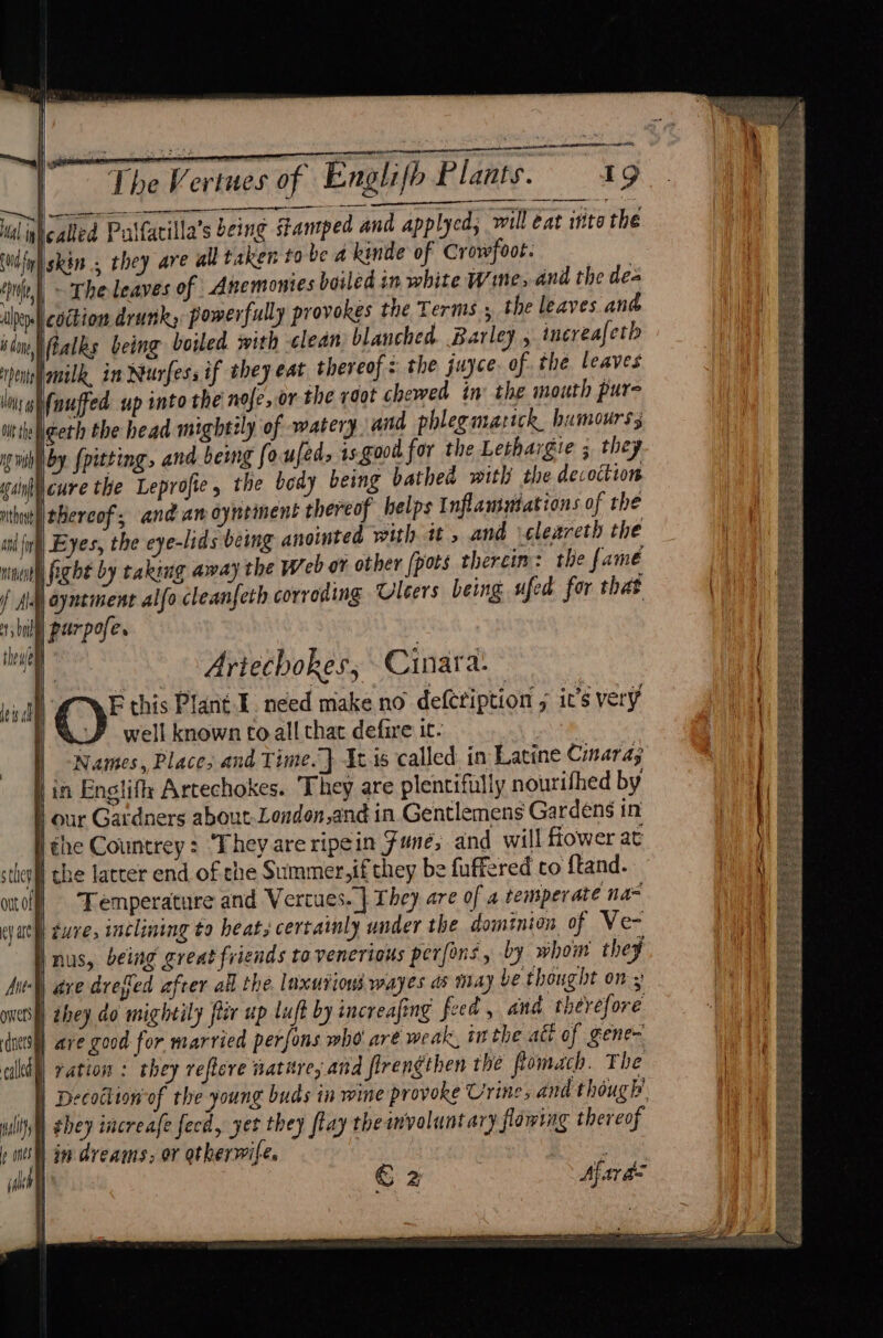eet eal ee The Vertues of Englifh Plants. 49 nicalled Pulfacilla’s being stamped and applyed, will eat ito the / skin. they are all taken to be a kinde of Crowfoot. | ‘ule, ~ The leaves of Anemonies boiled in white Wine, and the dea ley coction drunk, powerfully provokes the Terms ; the leaves and id Walks being boiled with clean blanched. Barley , increafetb peniamilk, in Nurfessif they eat thereof = the juyce of. the leaves ns gifnuffed up into the nofe, or the root chewed in: the mouth pure igeth the head mightily of watery and phlegmarick humours; Wn Wy iby fpitting, and being fo.ufeds is goo for the Lethargie 5 they | lcure the Leprofie , the bedy being bathed with the decoction | thereof; and am oyntinent thereof helps I nflammations of the || Eyes, the eye-lids being anointed with it, and vgleareth the ninety fight by taking away the Web or other [pots therein: the fame f Ady ayntiment alfo cleanfeth corroding Ulcers being ufed for that Hs bn | purpofe es Artecbokes, Cinata: E this Plant I. need make no defeription ; it’s very YF well known to all that defire it- | ) Names, Place, and Time. J Ics called in Latine Cmaras } in Engliffy Artechokes. They are plentifully nourifhed by our Gardners about. London,and in Gentlemens Gardens tn ll éhe Countrey: ‘They areripein June, and will flower at stherll the latter end of che Summer,ifthey be fuffered to {tand. oof! Temperature and Vertues. | They are of a temperate na~ jac) ture, inclining to heat, certainly under the dominion of Ve- ‘nus, being great friends to venerious perfons , by whom they ave drefled after all the. lnxurions wayes as may be thought ons they do mightily fiir up Luft by increafing feed, and therefore I) ave good for married perfons who ar€ weak, in the act of gene |) ration : they refleve nature, and flrengthen the fomach. The | Decochion of the young buds in wine provoke Urine; and though Wall ghey increafe fecd, yet they flay theanvoluntary flowing thereof | in dreams, or otherwife.