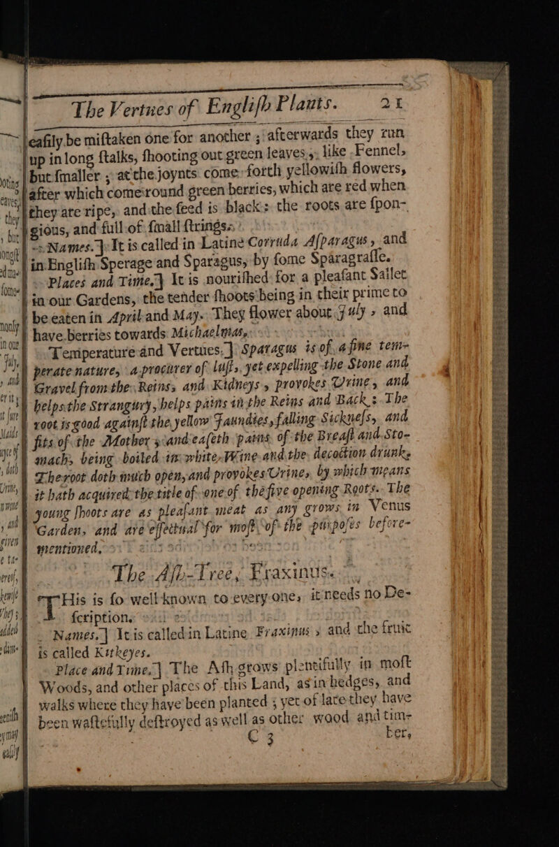 (ss a lee SE eae eafily be miftaken one for another , afterwards they run jup in long ftalks, fhooting out green leaves.5, like -Fennel, igs | Duc{maller ; atthe joynts come forth yellowith flowets, > Hafter which cometround green berries, which are red when Har} they ate Tipe, andthe feed is black: the roots are fpon- he f giOus, and full of {mall firings. ’ | ~- Names. yeTt is called in Latine Corruda Afparagus, and in Englifh Sperage and Sparagus, by fome Sparagratle. fone 2 Places and Time. Ivis nourifhed for a pleafant Sailet ‘| tour Gardens, the tender fhoots being in their prime to | beeaten in Apriland May. They flower about f#4 > and | have berries towards Michaelutas,:. Cai | .. Temiperaturesand Vertues.] Sparagus is of,apme tem Ong{t i sd mye STE gh Merstenature, a-procitrer of lufi,. yet expelling the Stone and cited Gravel fromthe Reins, and Kidneys » provokes Urine , and Tl belpsthe Strangury , helps pains tithe Rems and Back :.The root is good againfi the yellow Faundtes, falling Sicknefs,. and Kk ia | i < tf ye | fits of the Mothers sandiea(eth Pp abies: OF the ge eae / ‘ih j mach, being boiled 1m white,.Wine and the decoction drunks | Lheroot doth much open, and provokes Urines by which means sin PE Dat acquired the title of one.of thafive opening Roots. The ah Joung fhoots are as pleafant meat as any groms in Venus Garden, and are effectual for molt of the purposes before- an mentioned, >. 8.3 } * ‘= fi A A ryt i) r a rah The Ajb-Tree, Fraxinus. beyilé ay e hs 2, 2 His is fo welt known to-:everyone, if needs no De- | is 4. fcription. | eh : } “cig Bede: wit - “Names. | Ivis calledin Latine Fraxinus » and che fruit i f is called Kitkeyes. Place and Time,.| The Ath grows plentifully in moft | Woods, and other places of this Land, asin hedges, and | walks where they have been planted ; yec of late they have | been waftetully deftroyed as well as other waod and time Ste C3 ber, bee