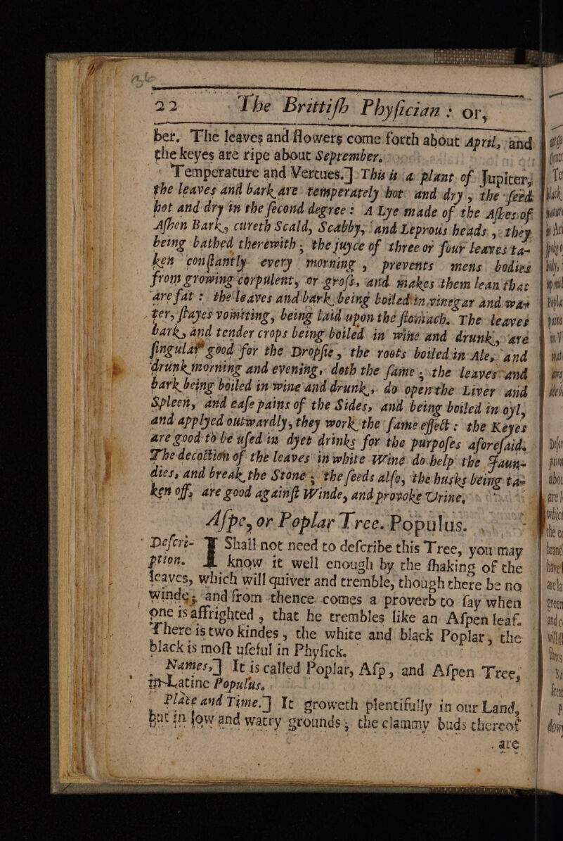 eeebisee tis f za wor Fe oe Se 3 jtkee se Spee bee ord: SLL ESA el Ri ees Pst eRe eG eS ig EIGRES —S y St ee by = pi at Sai OE Pies Pease 5 See Se $52 FASE SRE SESS Se Seta = | Deferi- “F Shait not need to deferibe this Tree, yourmay | bran prion. Ht know it well enough by che thaking of the | bie {eaves, which will quiver and tremble, though there be no | | atk PASTAS SS SS oles it { rv FiPePi Tey rere = Cone Pip! The Brittifh Phyfician + or, ber. The leaves and flowers come forth about April, and f the keyes are ripe about September, | ei « Temperature and Vertues.] Thi in a plant. of Jupiter; | the leaves ani bark are remperately bot: and dry 5 the seed: |lik hot and dry tm the fecond degree: A Lye made of the Altes of 1 yaar Afhen Bark, cureth Scald, cabby, ‘and Leprous heads, they yi being bathed therewith. the juyce of three or four leaves ta | ken con tantly every morning , prevents mens bodies bili, from growing corpulent, or gvofs, and makes them lean fae } Wt ‘are fat: theleaves and bark. being boiled tn. vinegar and wan | Pili ter, flayes vomiting, being Laid upon the fioisuch. The leaves | pi bark, and tender crops being boiled in’ wine and drunk, ave | in’ fingula® good ‘for the Dropfie, the roots boiledin Ales and | Wl drunk morning and evening, doth the fame. .the leayessand | iw bark being boiled in-wine and drunk, do openthe Liver and ihe! Spleen, and eafe pains of the Sides, and being bosled imoyl, and applyed outwardly, they work the’ fame oped: the Keyes are good tobe ufed in dyet drinks for the purpofes aforefaid, | Wi The decattion of the leaves in white Wine do help the Faun= dies, and break the Stone. ‘the feeds alfo, the husks being tax ken off, are good ag ain(t Winde, and provoke Urine = ° Afpe, or Poplar Tree. Populus. winde; and from thence. comes a proverb to fay when one isaffrighted , that he trembles like an Afpen leaf. ¥ here is two kindes , the white and black Poplar, the black is moft ufeful in Phyfick. | | Names, ] Ut iscalled Poplar, Afp, and Afpen Tree, Plate and Time. } It groweth plentifully in our Land, but in fow and watry Stounds; the clammy buds thereof : i _ are