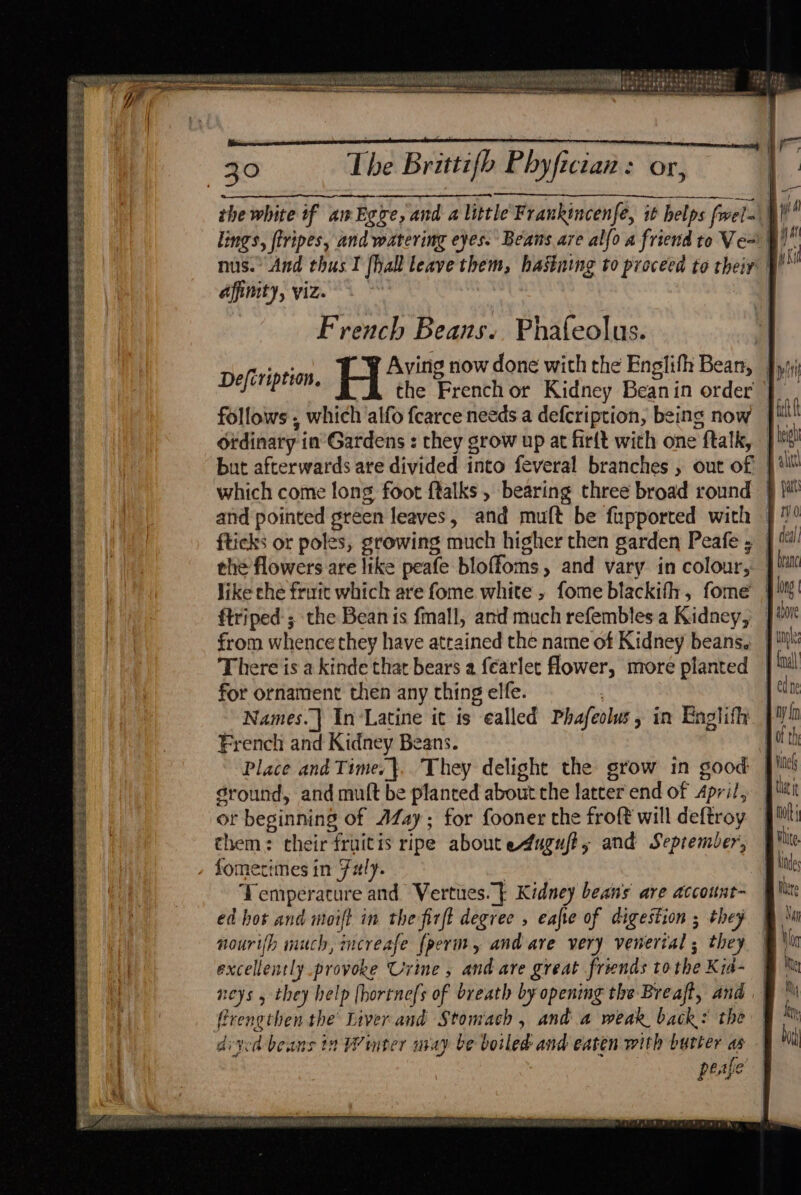  hip peta ica eit aati ls Ce it yy Neeson Koay yt BARI Sh Mot Brey ve oT me SSSA OR a oe as fe | 30 The Brittifo Phyfician: or, the white if amEgre, and a little Fraukincenfe, it helps fwel» \) lings, firipes, and watering eyes: Beans are alfo a friend to Ve~ 9) nus.” And thus T [hall leave them, hastning to proceed to theiy afimty, viz. French Beans. Phafeolus. C8 Aving now done with the Englifh Bean, © the French or Kidney Bean in order » follows , which alfo fcarce needs a defcription, being now Ordinary in Gardens : they grow up at firft wich one f{talk, but afterwards are divided into feveral branches , out of | which come long foot ftalks , bearing three broad round } and pointed green leaves, and muft be fupported with | fticks or poles, growing much higher then garden Peafe ; the flowers are like peafe bloffoms, and vary in colour, Jike che fruit which are fome white , fome blackifh, fome } ftriped ; the Bean is fmall, and much refembles a Kidney, — from whence they have attained the name of Kidney beans. There is a kinde that bears a fearlet flower, more planted for ornament then any thing elfe. Names.] In‘Latine it is ealled Phafeolw, in Englifh French and Kidney Beans. Place and Time. }.. They delight the grow in good Sround, and mutt be planted about the latter end of April, or beginning of AZay; for fooner the froft will deftroy them: their fruitis ripe aboutedugufts and Seprember, , fomecimes in Fly. } Temperature and Vertues. | Kidney beans are accotnt- ed hot and moift in the firft degree , eafe of digestion ; they nourifh much, increafe {perm, and are very venerial ; they excellently provoke Urine , and are great friends to the Kid- neys , they help [hortnefs of breath by opening the Breaft, and firengthen the Liver and Stomach , and a weak back: the dived beans in Winter may be boiled and eaten with butter as peafe’ eaceete teas ase scrips ue soes ties Defcription. eas AS eo eee SRSA te PRESS LSS eR SEARS CRS CaS Ss SCT ER RES >= a. gf 3 at aes Se ee ee een etn Culm ta a Tiicee cae ean Ue Re ee a