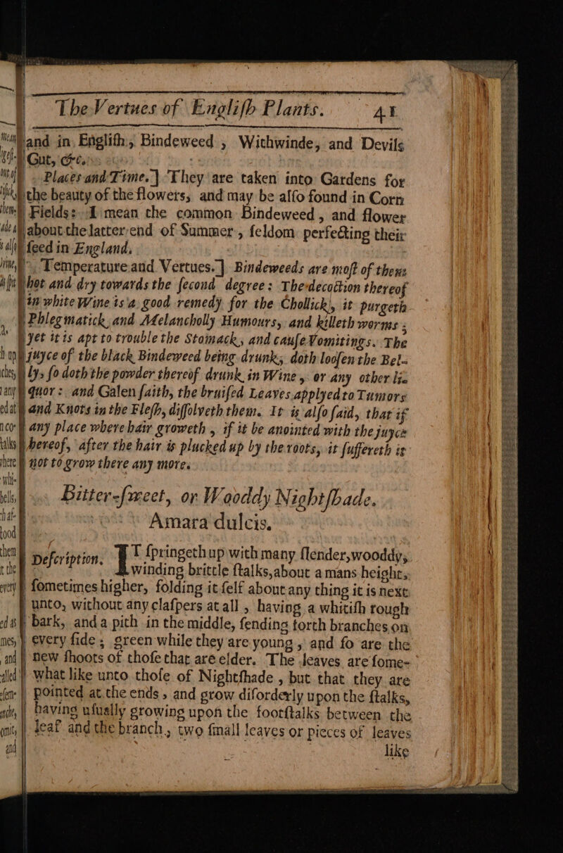 Hen dea) sale ie a | TheVertues of Englifh Plants. AL Places and Time. | They are taken into Gardens for the beauty of the flowers, and may be alfo found in Corn Fields:..I:mean che common Bindeweed , and flower feed in England. », Temperatureand. Vertues. | Bindeweeds are moft of thexs hot and dry towardsthe fecond degree: The decottion thereof in white Wine is'a good remedy for the Chollic iat purgerh | {| mi omit I a |! Biitter-fmeet, or Wooddy Night [bade. Amara dulcis. winding brittle ftalks,about a mans height, every fide; green while they are young , and fo are the new fhoots of thofe that areelder. The leaves are fome- having ufually growing upon the foorftalks between the jeaf and the branch, two finall leaves or pieces of leaves | it | like } 1 {
