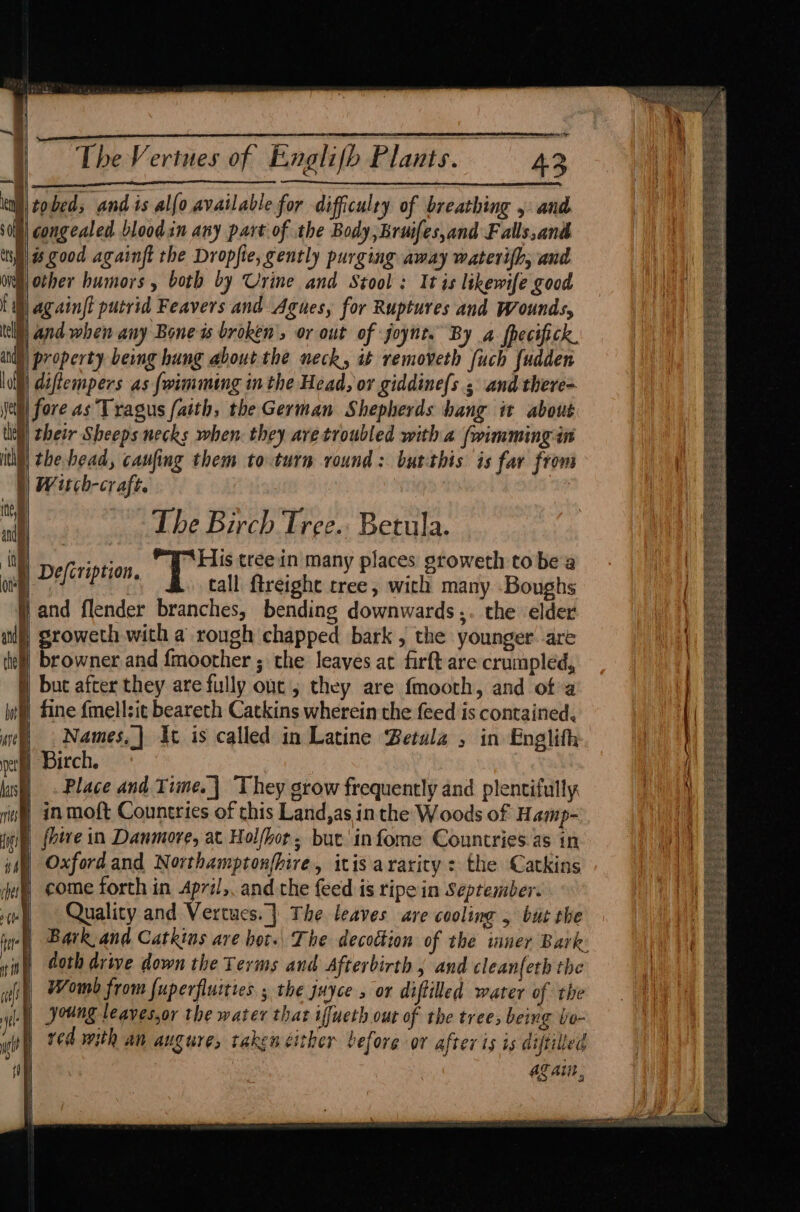 he Ntobed, and is alfo available for difficulry of breathing 4 and §\ congealed bloodin any part of the Body,Bruifes,and F alls,and §\% good againft the Dropfie, gently purging away waterifh, and other humors, both by Urine and Stool : It is likewife good ) againft putrid Feavers and Agues, for Ruptures and Wounds, till) and when any Bone is broken’, or out of joynt. By a fhecifick. indy| property being hung about the neck, it removeth [uch fudden lull diftempers as {wimming in the Head, or giddiness and there= (ell fore as Tragus [aith, the German Shepherds bang it about tie] their Sheeps necks when. they aretroubled with a (wimmingin ith) the head, caufing them to turm round: busthis is fav from §) Witch-craft. | ol The Birch Tree. Betula. His treein many places groweth to be a tall ftreight tree, with many .Boughs and flender branches, bending downwards... the elder eroncta with a rough chapped bark , the younger are rowner and {moother ; the leaves at firft are crumpled, § but after they are fully out’; they are {moorh, and ofa p fine {mellsit beareth Catkins wherein the feed is contained. b ; i come forth in April, and the feed is ripe in September. | | PN a ee =a es © A % = Wan Sg Sea Per esc Bion + S Boas ae < ae ie