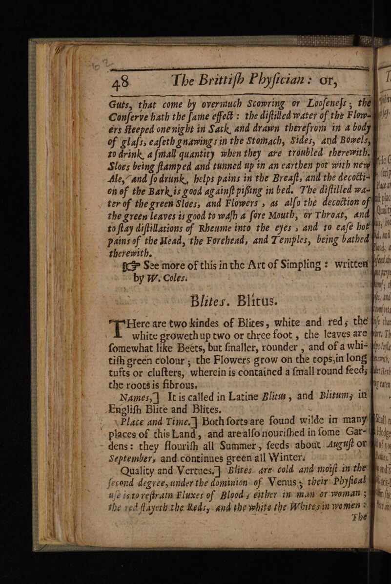 EERESERSS BES SPS SESS ERE ges EST Se ee “ Se? SELES ESR EE ch SESE pe Rees eee SS eS ees re Ee SE Ses Ree eee ee ee Pe ee nas Arras. ; Be | LE REN LONE e © 8 ele ly pe my Iw be fe oe de ceeaemmnn Are anes atime Trina tat skoda oko caae 48 The Brittifb Phyfictan : on, | Guts, that come by overmuch Scowring or Loofenejs , theyi” Conferve hath the fame effect : the diftilled water of the Flow=@\)!) érs Steeped one night in Sask, and drawn therefrom in a body of glafs, eafeth gnawings in the Stomach, Sides, and Bowels, t0 drink, a{mall quantity when they are troubled therewith, Sloes being flamped and tunned up in an earthen pot with new) Ale,“ and fo drunk, helps pains in the Breaft, and the decotts-) on of the Bark,is good againft pifing in bed. The difiilled was ter of the green Sloes, and Flowers » as alfo the decoction of Ft. the green leaves is good to walh a fore Mouth, or Throat, and) Rut to flay diftillations of Rheume into the eyes , and to eafe hott i pains of the Head, the Forehead, and Temples, being bathed ine therewith. : . | Blood, ace See more of this inthe Art of Simpling : written by W. Coles: a Meal Blites. Blitus. \Lere are two kindes of Blices, white and reds the ij tla white groweth up two or three foot , the leaves are wrt 7) fomewhat like Beéts, but fmaller, rounder , and of a wht pbs in/; tith green colour’; the Flowers grow on the cops,in long Pri tufts or clufters, wherein is contained a {mall round feeds | the roots is fibrous. Piya Names, | Icis called in Latine Blicws , and Blitum in| fei Place a i pla Place and Time. Both fortsare found wilde in many! dens: they flourith all Summer, feeds about AugufE of Blot September, and.cOntinues greén ail Winter. Yq Quality and Vertues.} Blites. are: cold and moift in the ey fecond degree, under the dominion of Venus their Phyficat | : ufe istoreftrain Eluxes of Bloody either im man or woman A the ved flayer the Reds, and the white the Whites im eae | Ene)