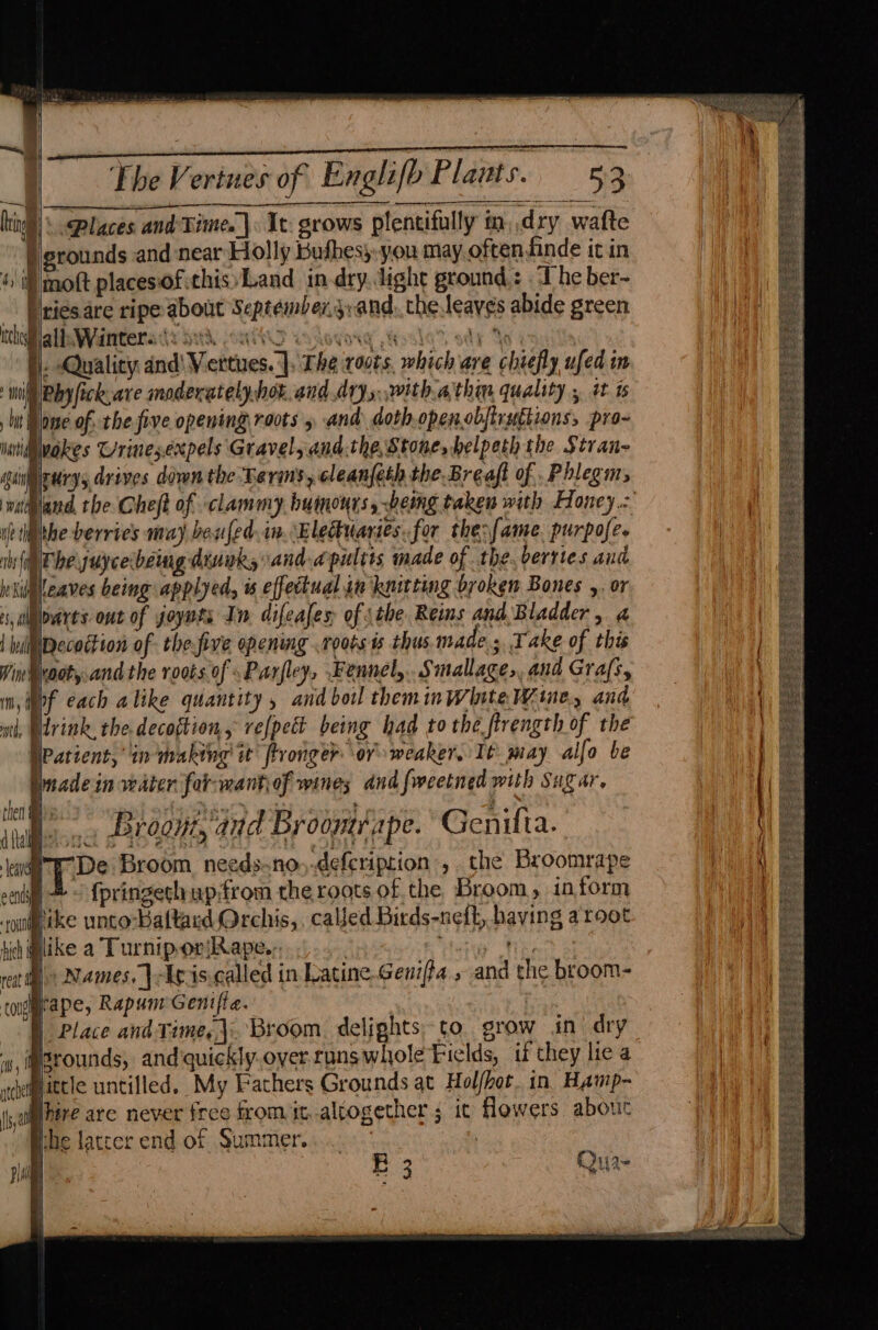 adic a a a The Vertnes of Englifb Plants. 53 i | , Places and Time. | It: grows plentifully in, .d ry wafte Prices are ripe about September.jvand,,the.leayes abide green WMlalinWanterady Sud oni wsdovorg Worle’, oda Ye f); -Qualicy dnd'Vertues. ], The roots. which are chiefly ufed in shale _, Brooyt, and Broontr ape. Genilta. eave ties Broom needs-no,.deferipsion ,. the Broomrape ecndy = - oingtike unco-Baltard Orchis,, called Birds-neft, having aroot b Om ime . - . : $ bie pike a TurniporiRape., reat Names, {leis called in Latine.Genifa » and the broom- tone pepe, Rapum Genifta. | I Place and Time,\. Broom. delights to grow in dry ity | isrounds, and quickly. oyer. runs whole Fields, if they lie a qemmatcle uncilled. My Fathers Grounds at Holf/hot. in. Hamp- (sat here are never free from it. altogether 5 it flowers about { ! the latcer end of Summer. le ec Qur-