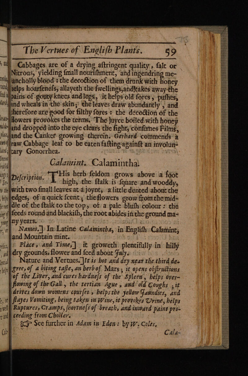 young fy OF i a : ‘ V4 : The Vertues of Engli(b Plants. 59 i | Cabbages are of a drying aftringent quality, fale or’ _ p Nitrous,’ yielding {mall nourifhment, ‘and ingendring me- sancholly blood ¢ the deco&amp;tion of them diank with honey [pains of gouty knees and legs, vit helps old fores 5 pufhes, find wheals ‘in the’ skin,’ the leaves draw abundantly , and wherefore are good for filthy fores:: the déco&amp;ion of the |dowers provokes the terms. The juyce boiled.with honey jand dropped into the eye clears ‘the fight, ‘confihes Films, raw Cabbage leaf to be éaten fafting asainft an involun= Calauunt.. Calamintha\ high, the: ftalk:is fquare:and wooddy, jwith two fall leaves at a joynt;: alittle dented :abont che ledges, of aquick {cent theflowers grow fromthe mid= idle of the ftalk to the top, ofa pale bluth colour : the feeds round and blackith, the root abides inthe ground ma- ny years. , f soit) Names.) In: Latine Calamintha, in Engtith : Calamint; land Mountain mint. | : : [© Place sand Times] it groweth. plentifully in hilly dry grounds, flower and feed about Falys: aks | Nature and Vertues.]I¢ ts bot and dryneat the third des bof the Liver, and cures hardne{s of the Spleen, helps over- | flowing of the Gall, the tertian Ague , and’ old Coughs , it | Ruptures, Cramps, (rortne|s of ‘breath, and inward pains pro- | a See further in Adam in Eden: by W. Coles, | Se cease | Ss Cala~