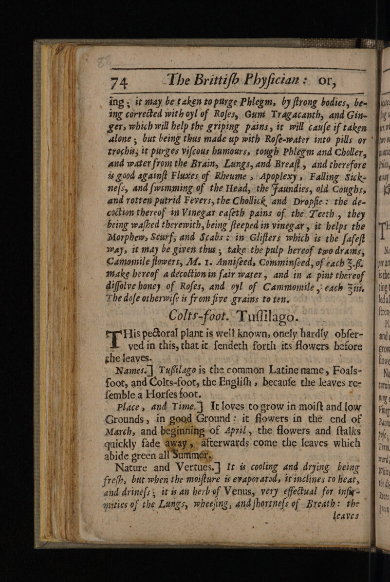 aay = Zi st BEGRSS ASSES ES SE SISOS ESS eee ree ae Kot EELS 2 SEE PEERS PES RES EERE! = = pete Ree eit eee FESS Ce SERS es = y “ Wie MAG ae RST cn RST STATI AT ees ere ok eT Ee es se at alias. | ase eat aaEe ing . it may be taken to purge Phlegm, by ftrong bodies, be- ing corrected with oyl of Rofes, Gum Tragacanth, and Gin- ger, which will help the griping pains, tt will caufe if taken alone, but being thus made up with Rofe-water into pills or * trochis; tt purges vifcous humours, tough Phléegm and Choller, and water fromthe Brain, Lungs, and Breaft, and therefore is good againft Fluxes of Rheume , Apoplexy , Falling Sick nels, and {wimming.of the Head, the Faundies, old Coughs, and rotten putrid Fevers, the Chollick, and Dropfie: the de- coition thereof im Vinegar eafeth pains of the Teeth, they being wafhed therewith, being fieeped in vinegar , it helps the Morphew, Scurf; and Scabs sin Glifters which is the fafeft Way, it may be given thus, take the pulp hereof two drams, Camomile flowers, M. 1. Annifeed, Comminfeed, of each 2. make hereof adecottionin fair water, and in a pint thereof diffolve honey of Rofes, and oyl of Cammomile ,: each Zin, The dofe otherwife is from five grains to ten. 5 Colts-foot. Tuffilago. ae ris petoral plant is well known, onely hardly obfer- B vedin this, thatic: fendeth forth its flowers before che leaves. : Names..| Tufilago is the common Latinename, Foals- foot, and Colts-foot, the Englith , becaufe the leaves re- femble a Horfes foot. Place, aud Time.} Itloves to grow in moift and low Grounds, in good Ground: it flowers in thé end of March, and beginning-of April, the flowers and. ftalks quickly fade away, afterwards come the leaves which abide green all Sammé®, Nature and Vertues.] It % cooling and drying being frelhs but when the moifture is evaporated, tt inclines to heat, and drinef[s: tt isan herbof Venus, very effectual for infa- | guties of the Lungs, wheeing, and Jhortnes of Bistth : the | CAVES