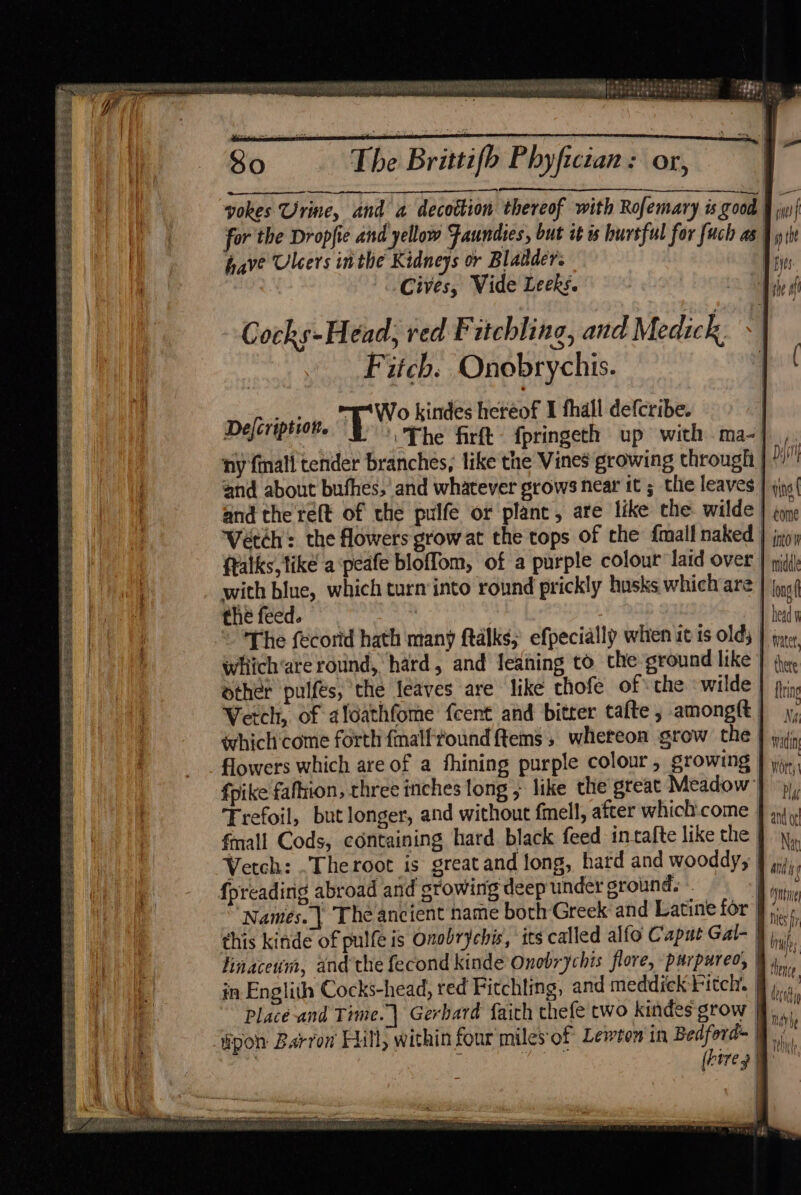 peters eee tt cites eee sila bt: PASSES BESTS PHVSPLS STE SSL SSeS BEES i ie: (ase age Eee he SERS ESSE SS 2 Sa Lal Aik ae So. : The Brittifh Phyfictan: or, yokes Urine, and a decottion thereof with Rofemary is good for the Dropfie and yellow Faundies, but ot is hurtful for fuch as : have Ulcers inthe Kidneys or Bladder. Cives, Vide Leeks. Cocks-Head; red Fitchling, and Medick. »| Fitch. Onobrychis. j _... “E*Wo kindes heréof I fhall defcribe. | D acrepsiave T The firft- fpringeth up with ma-]_,. ny {mall tender branches, like the Vines growing through | Dy and about buthes,’ and whatever grows near it ; the leaves | and the re(t of the pulfe or plant, are like the. wilde | done ‘Vetch: the flowers grow at the tops of the {mall naked } jgoy ftalks, like a‘peafe bloffom, of a purple colour laid over J ii with blue, which turn:into round prickly husks which are | oa the feed. ne © The fecortd hath many ftalks; efpecially whiten it ts olds | neq wiiich‘are round, hard, and leaning to the ground like | shue Sther pulfes, the leaves are like chofe of the wilde | fh, Verch, of aloathfome fcent and bitter talte , among | y, which'come forth fmalftound ftems , whereon grow the J yi, flowers which are of a fhining purple colour, growing J ji, fpike fafhion, three inches tong ; like the great Meadow | bh Trefoil, but longer, and without fmell, after which:come fmall Cods, containing hard black feed in-tafte like the | Vetch: .Theroot is greatand long, hard and wooddy; | {preading abroad and growing deep under groun d; | Names. | Theancient name both Greek and Latine for | this kinde of pulfe is Onobrychis, its called alfo Caput Gal- I) Hinaceum, and the fecond kinde Onobrychis flore, purpureo, a in Englith Cocks-head, red Fitchting, and meddick Fitch. Bi. Place and Time.| Gerhard faith thefe two kindes grow ff, “pon Barron Hill, within four'miles of Lewton in Bedford Witt : Ls (hore gin |