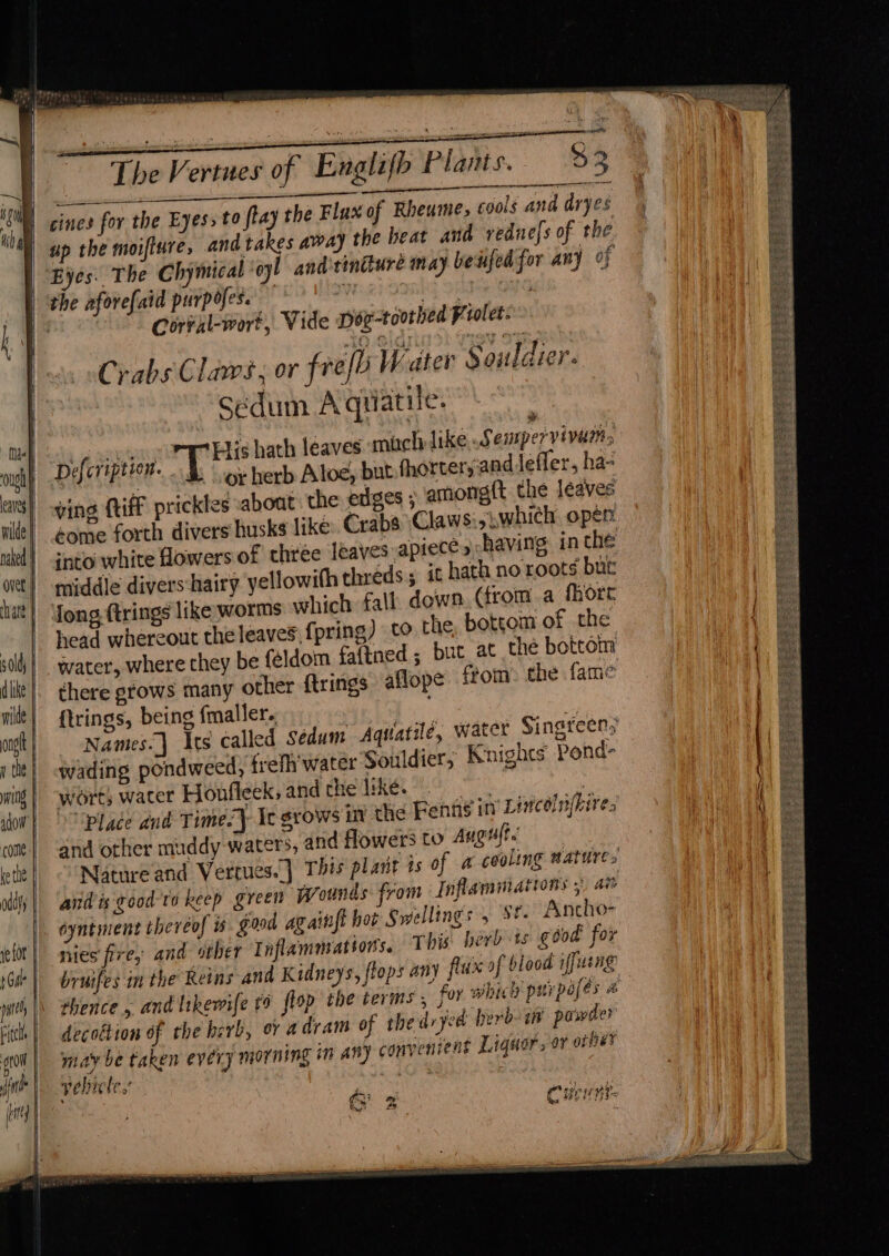 aa a ae arise vcadionaaie cines for the Eyes, to ftay the Flux of Rheume, cools and dryes up the moifture, and takes away the beat and vedne|s of the Eyes. The Chymical oyl andtiniture may beufed for any of Corval-wort, Vide pog-roothed Frolet. Crabs Claws, or frefb Water 8 ouldier. Sedum Aquatile. ope oe His hath leaves mich like .Sempervivarts Defcription. . dep ES aye e OH. &amp; vor herb Aloe, but fhorters:and lefler, ha- ving {iff prickles :aboat the edges ; amongft the leaves éome forth divers husks like: Crabs Claws:, which oper: into white flowers of three leaves apiece s shaving in the middle divers:‘hairy yellowith threds ; ic hath no roots but Jong firings like worms which fall down (froma fhort head whereout the leaves,fpring) to the, botgom of the water, where they be féldom faftned ; but at the bottom there grows many other f{trings aflope from: the fame {trings, being {maller. Names. } Irs called wading pondweed, trefh'water Souldier, Knights Pond- worts water Honfleek, and the Ike. ean | place and Time-} Ic grows i the Renng in’ Lincolnjhires and other muddy waters, and flowers to Augufts Natureand Vetrues.] This plarit ts of andis good to keep green wounds from Inflammation’ 5) ai éyntment thereof i good againft hot Swellings 5 Sf. Ancho- nies fire, and sther I nflammratsorts. This herb is good for bruifes in the Reins and Kidneys, flops any flux af blood iffusng thence, and likewife fo flop the terms , for which purpafes 2 decoltion of the herb, or adram of the dryed ber: a paswde? may be taken every morning in Any convenient Liquor, or other vebicle.,’ ‘ = at 3 G' 2 Curint
