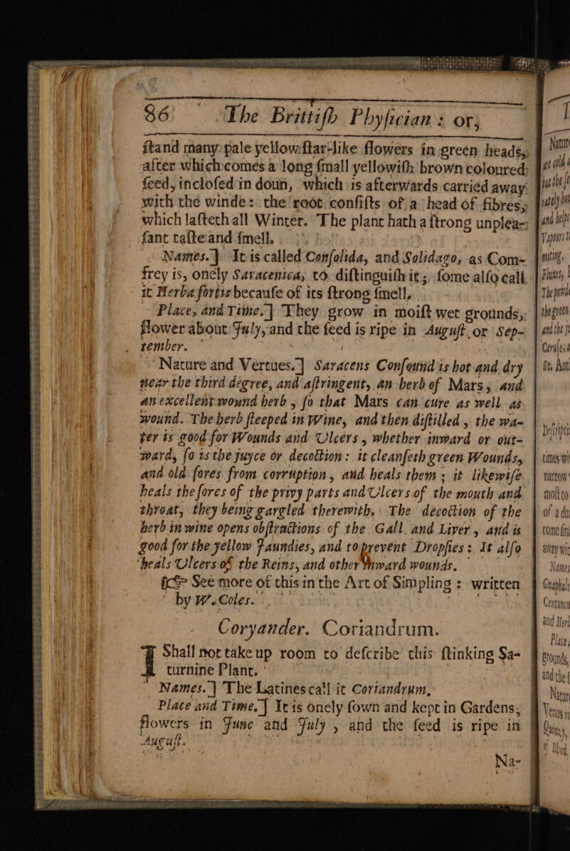 : pausing Tap SEEM On Usa: Shar DA SHURA nem ENTER EEL WTA ERE OTT Aart aici Mie fhe ATs ay alata ye ace kb : sibs , ie i hata al A oh ial FRM a cet cha | ASE eI Pr NON N ie pig l cenn mwemesems e 86 The Brittifh Phyfician : or; .— sine ie Nl a llalaia aioe deed dacs aa ftand many pale yellowftar-like flowers in green headé,, Nat alter whichcomes a long {mall yellowith brown coloured; | a feed, inclofedin doun, which 1s afterwards carried away | byt the with the winde: the! reot. confifts ofa head of fibres, | which laftethall Winter. The plant hath aftrong unplea-;_ fanc tafteand {mell.. y Vans Names.]. Ivis called Confolida, and Solidago, as Com= |i frey is, oncly Satacenica, vo diftinguith it; fome alfo call, | Hts: it Herba fortis becaufe of its {trong {mell. | Place, and Time.] They grow in moift wet grounds, flower about Fuly, and the feed is ripe in Auguftor Sep~ | mith rember. : | 3 | Cérnjess Nature and Vertues.] Saracens Confeundis hot and dry | Se hat sear the third degree, and aftringent, an -berbof Mars, and an excellent wound herb, fo that Mars can cure as well as wound. The berb fleeped in Wine, and then diftilled , the wa- fer ts good for Wounds and Ulcers , whether inward or out- | ward, (0 15 the juyce or decottion: it cleanfeth green Wounds, | tev and old fores from corrtiption, and heals them ; it likewife. | vanw heals the fores of the privy parts and Ulcers of the mouth and. | nol throat, they being gargled therewith, The decoction of the | of adi herb in wine opens obftractions of the Gall. and Liver, and is | comely good forthe yellow Faundies, and toprevent Dropfies: It alfo | ayy ‘heals Ulcers o&amp; the Reins, and other inward wounds. = Na fcS See more of thisin the Art of Simpling : written | Gnipi| pe SEC 2 eof PES EES See orhiseied Sig dt eee SES i Deleyipty ¥ 4 by W Coles. Centuncs r ‘ A 20d Her Coryander. Coriandrum. Bs B Shall nortakeup room to defcribe’ chis ftinking Sa+ | turnine Plant. ' ‘sas aes Names.) The Latinesca'l it Cortandrum, Place and Time. | Iris onely fown and kepe in Gardens; flowers in Fuse and July » and the feed is ripe in” August. PP Da) abs ai | he 2 | Place, POLAR Nile Ss SORRR Se aig aR Sa Sons ce Ro i ele eb ae { j 1 NY Bhy N are 5 {pia aS ii Oa : ; ay q » v M 7 “ah Be Agee MA I ON As wind PMG, CONE yk