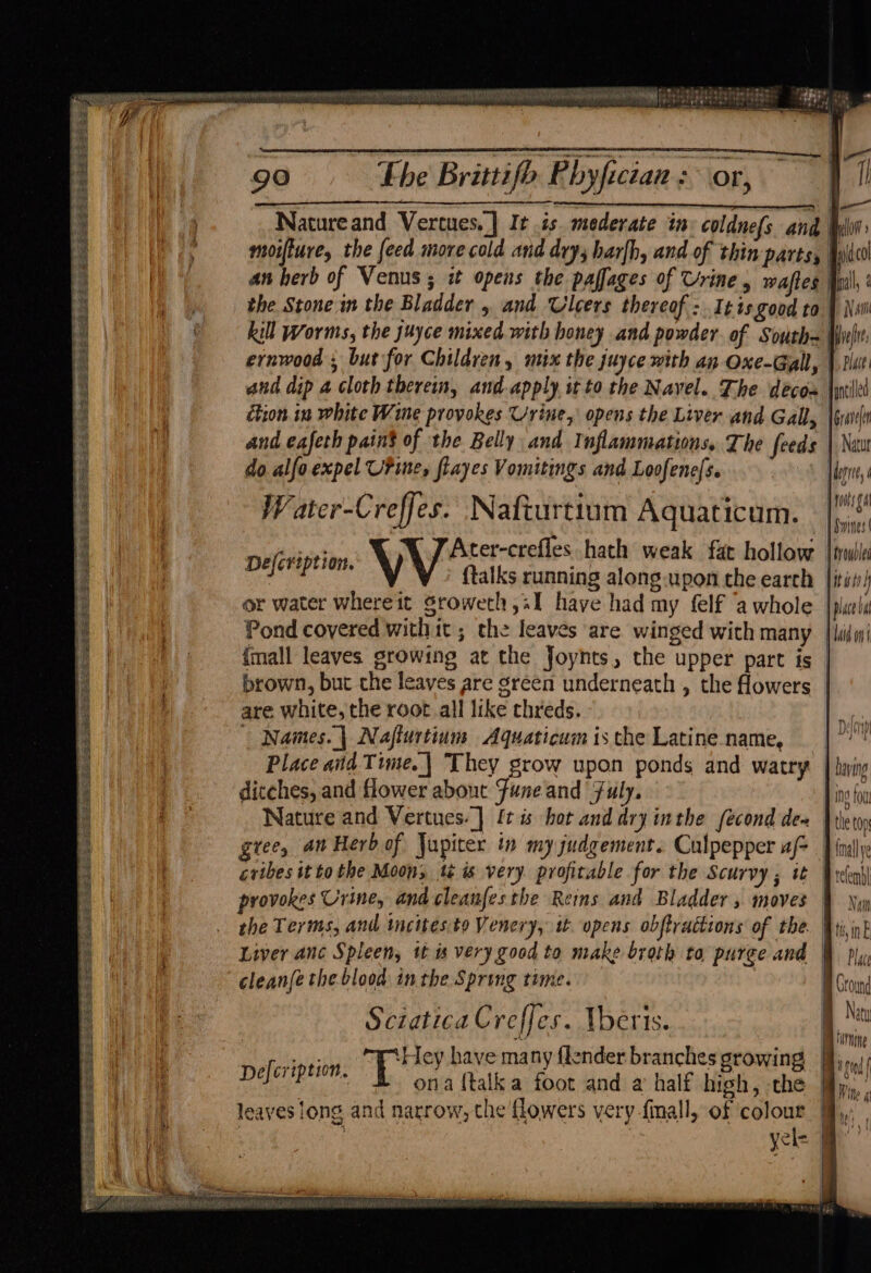 a 2 a cRNA GIN Maier UA a Te a ha | gO Phe Brittifbo Pbyfician :~ or, Natureand Vertues. | It .is. mederate in: coldnefs and Belo moifture, the feed more cold and dry; barfh, and of thin parts, | fl an herb of Venus ; it opens the paffages of Urine, waftes Yul, the Stone in the Bladder , and Ulcers thereof: Itis good to | kill Worms, the juyce mixed with honey and powder of South= Wi ernwood ; but for Children, mix the juyce with an Oxe-Gall, | and dip a cloth therein, and apply it to the Navel. The decos | ion in white Wine provokes Urine, opens the Liver and Gall, Gravel and eafeth pains of the Belly and Inflammations. The feeds do alfo expel UPine, flayes Vomitings and Loofene/s. | Water-Creffes. Nafturtiam Aquaticum. |! aintvigi V Ater-crefles hath weak fat hollow. |iubl Defcreptron. . : ‘yids {talks running along upon the earth |itii) or water where it Sroweth «I have had my {elf ‘a whole lice Pond covered with it ; the leaves are winged with many. |i {mall leaves growing at the Joynts, the upper part is brown, but the leaves are green underneath , the flowers | are white, the root all like chreds. | Names.| Najiurtium Aquaticum isthe Latinename, | °' Place aiid Time.| They grow upon ponds and watry. | wing ditches, and flower about Fune and Fuly. in fou Nature and Vertues.] ft i hot and dry inthe fecond dea iv ton gree, an Herb of Jupiter in my judgement. Culpepper af- | cribes it tothe Moon, té is very profitable for the Scurvy ; it provokes Urine, and cleanfesthe Reins and Bladder , moves the Terms, and tncites to Venery, if. opens obftractions of the. Wii Liver anc Spleen, it is very good to make broth to, purge and | cleanfe the blood inthe Spring time. | Sciatica Creffes. Vberis. gies ‘Hey have many flender branc. ere vad al Defeription. H yey yil rb anches growing hs ona {talk a foot and a half high, the — leaves long and narrow, the flowers very finall, of colour | yel= | ROU Stes coer eee eet eer es as eR ees es SCRE See Sere ee SEV Ee Ses A tirnine f hid | Sete Wr if ie 4} ae | Wit. | Se cede See
